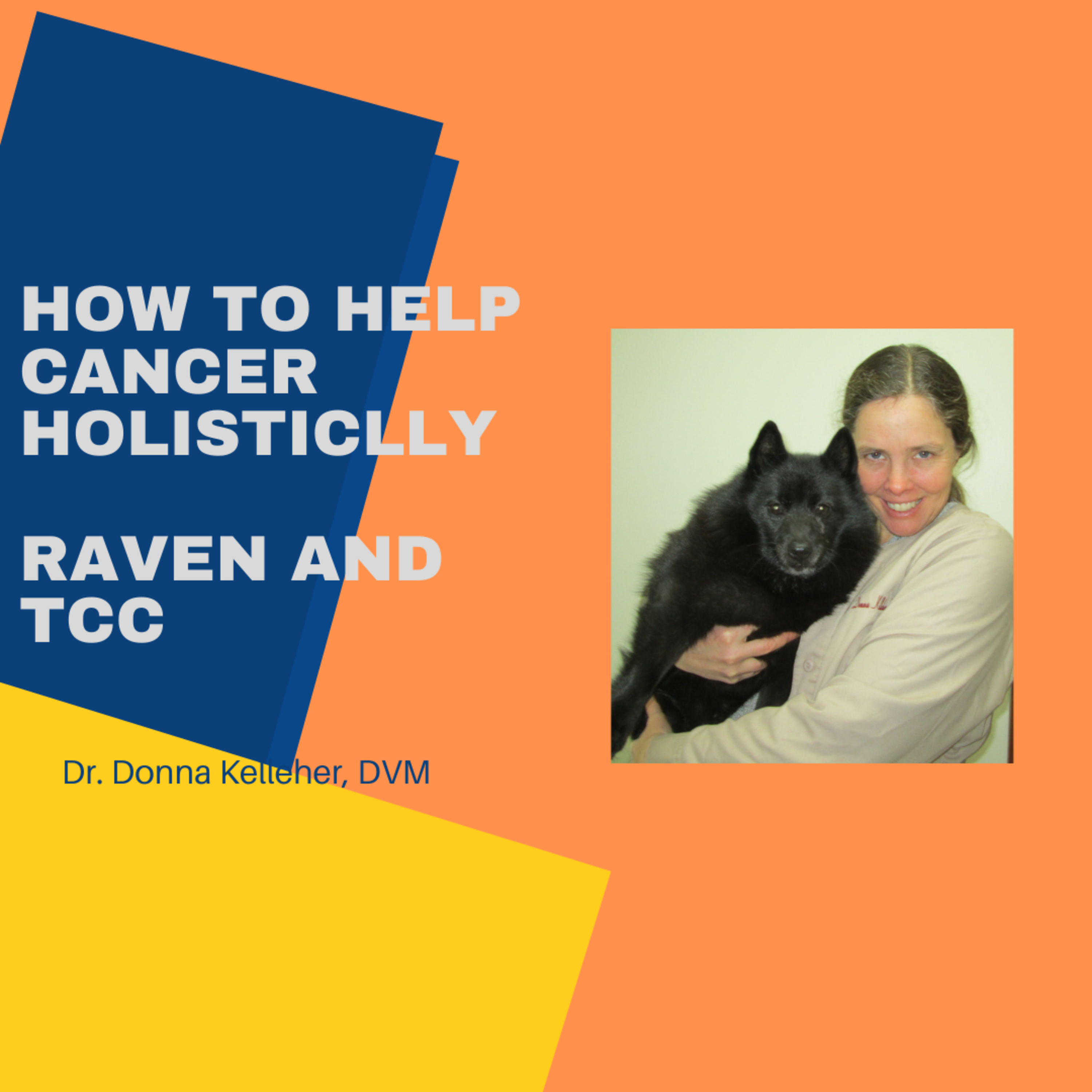 Pet Doc Donna!A comprehensive holistic and herbal guide to healing your pet naturally!