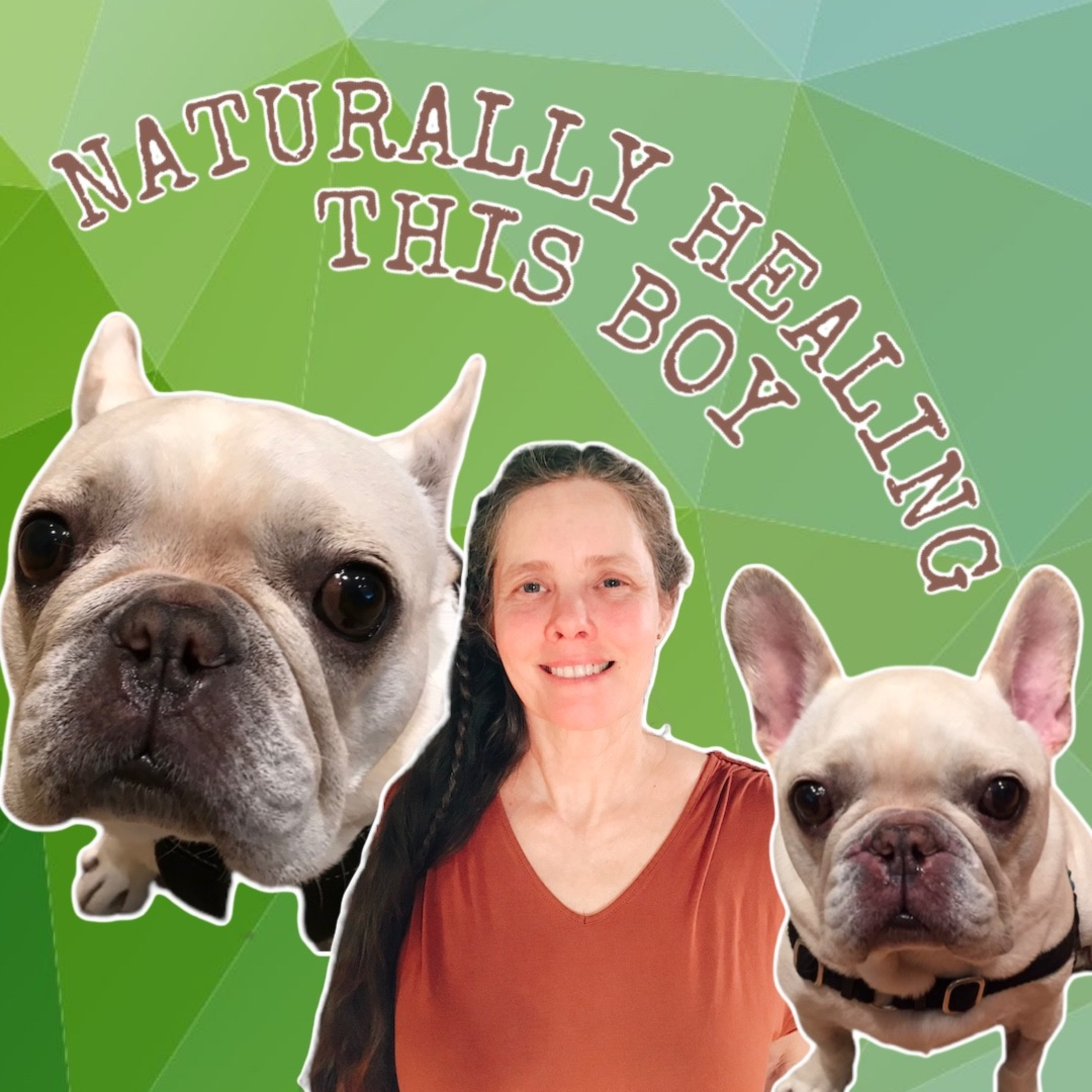 Pet Doc Donna!A comprehensive holistic and herbal guide to healing your pet naturally!