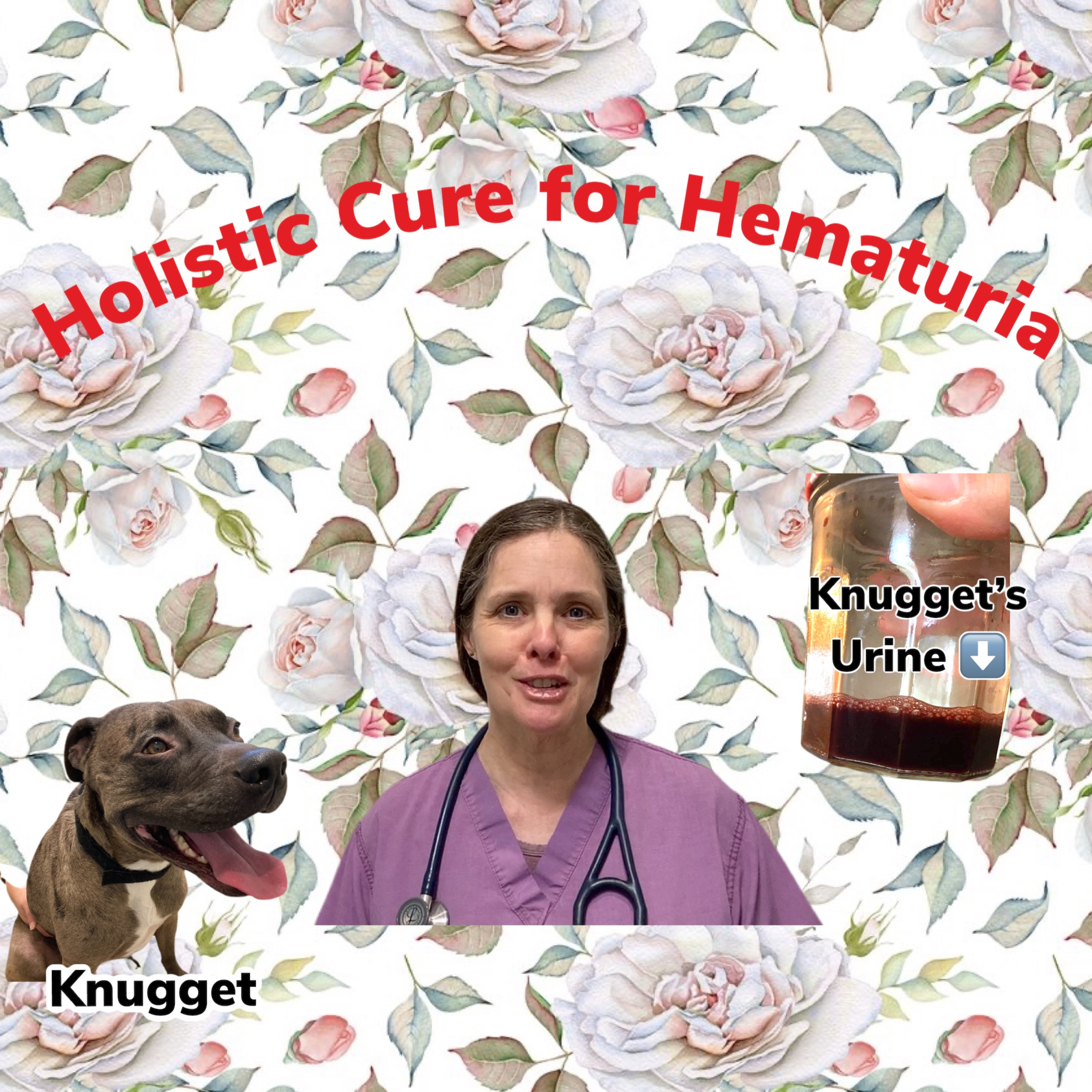 Pet Doc Donna!A comprehensive holistic and herbal guide to healing your pet naturally!