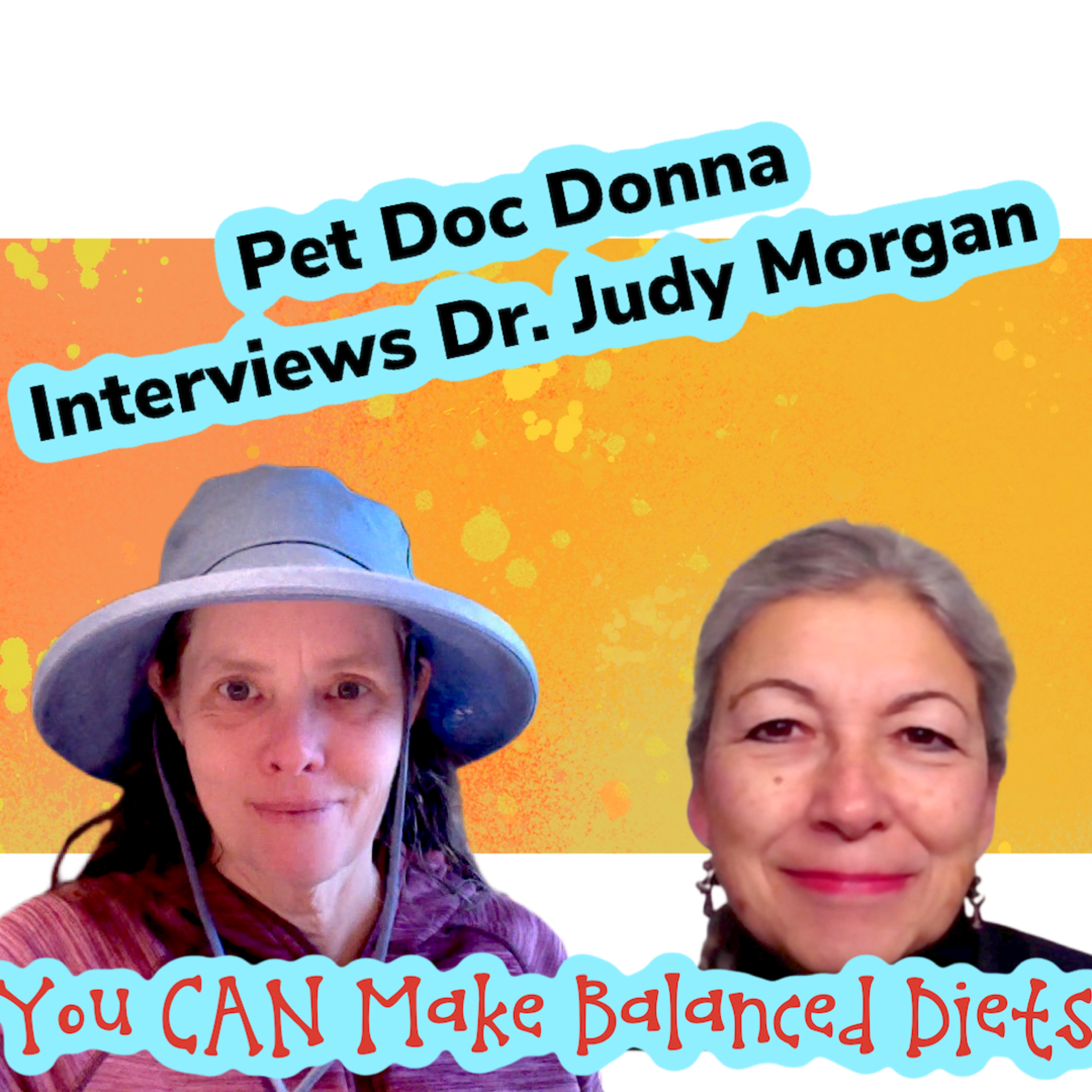 Pet Doc Donna!A comprehensive holistic and herbal guide to healing your pet naturally!