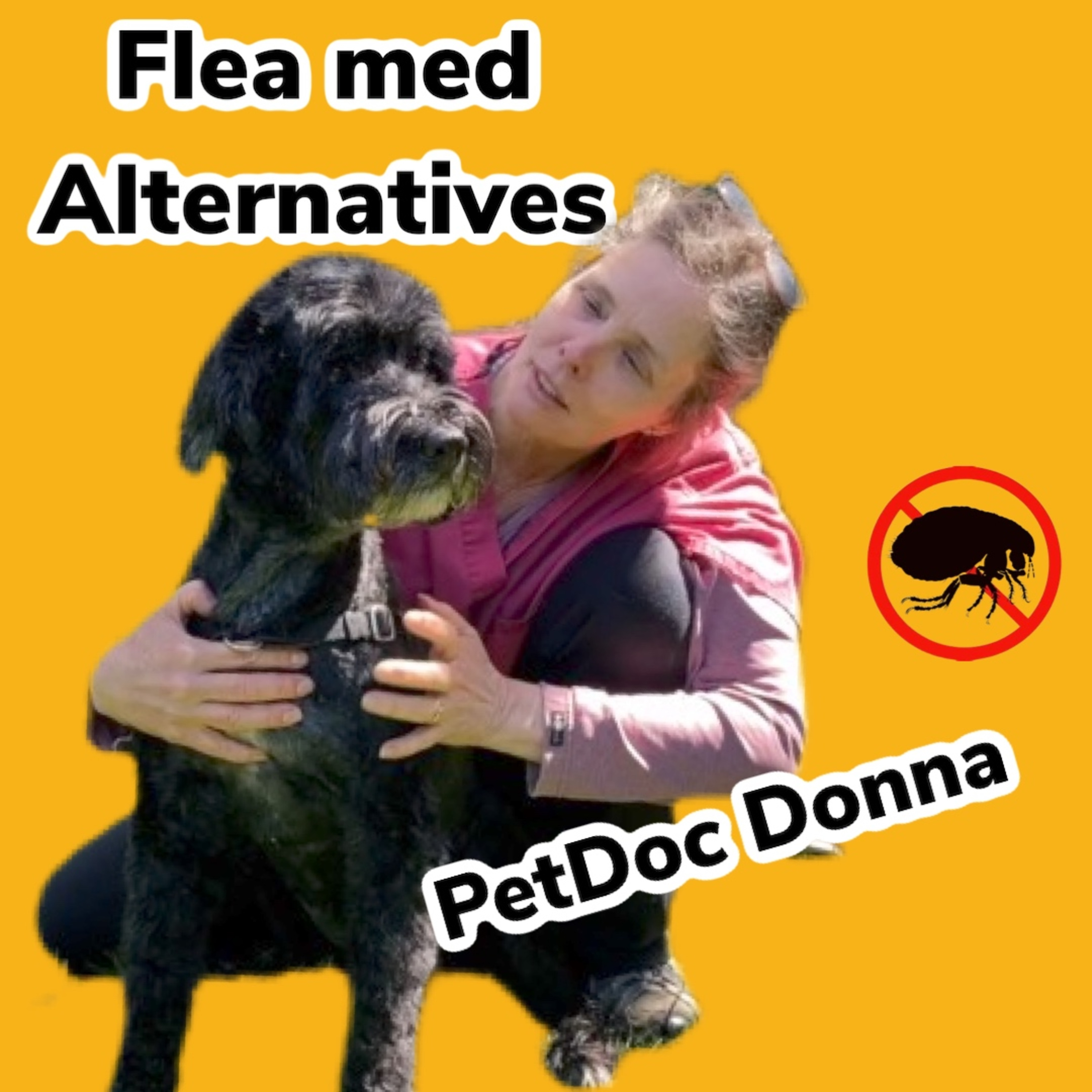 Pet Doc Donna!A comprehensive holistic and herbal guide to healing your pet naturally!