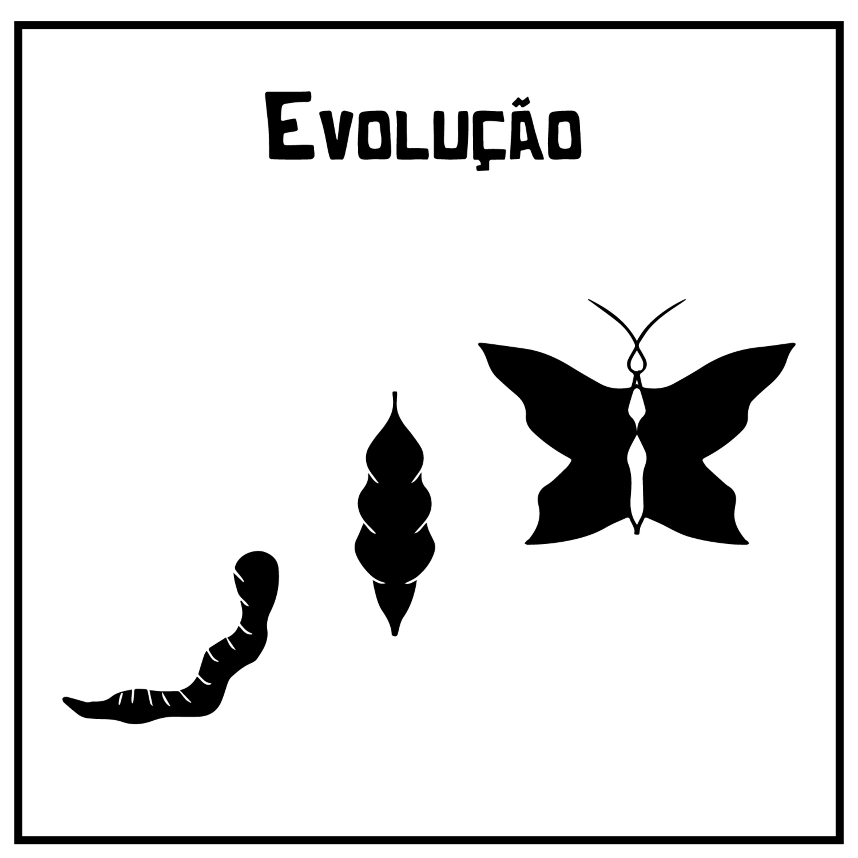 Evolução