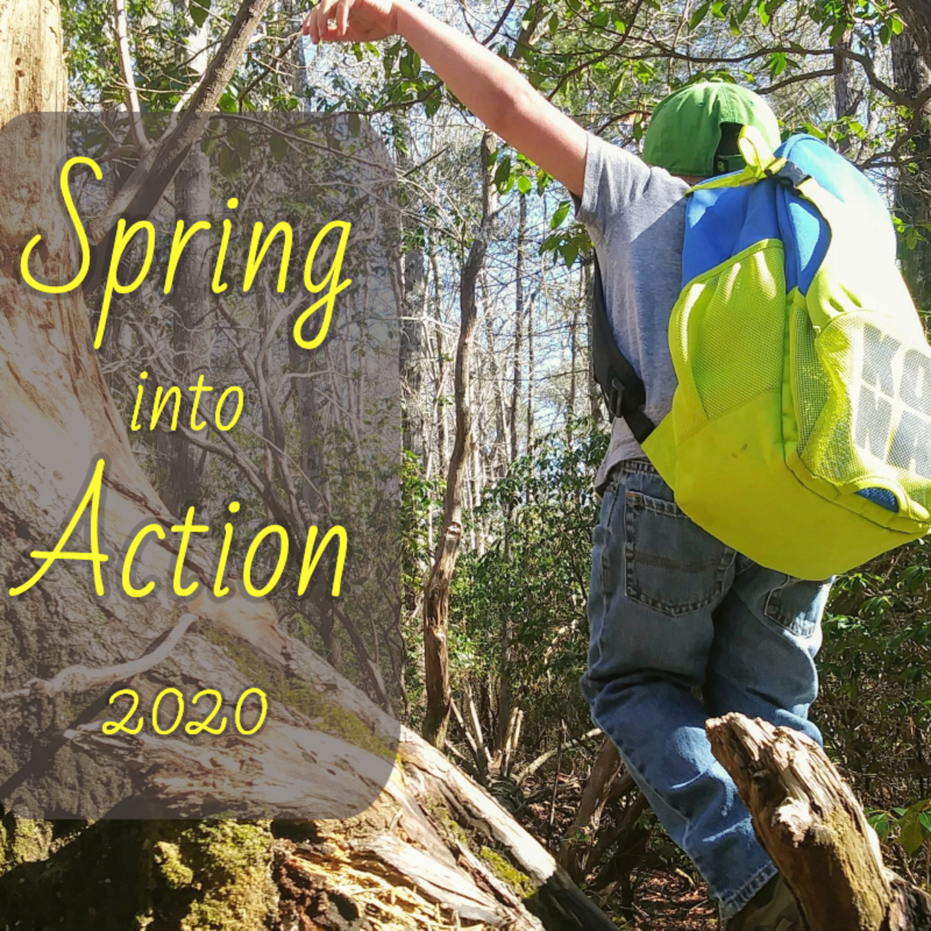 Spring into Action episode artwork