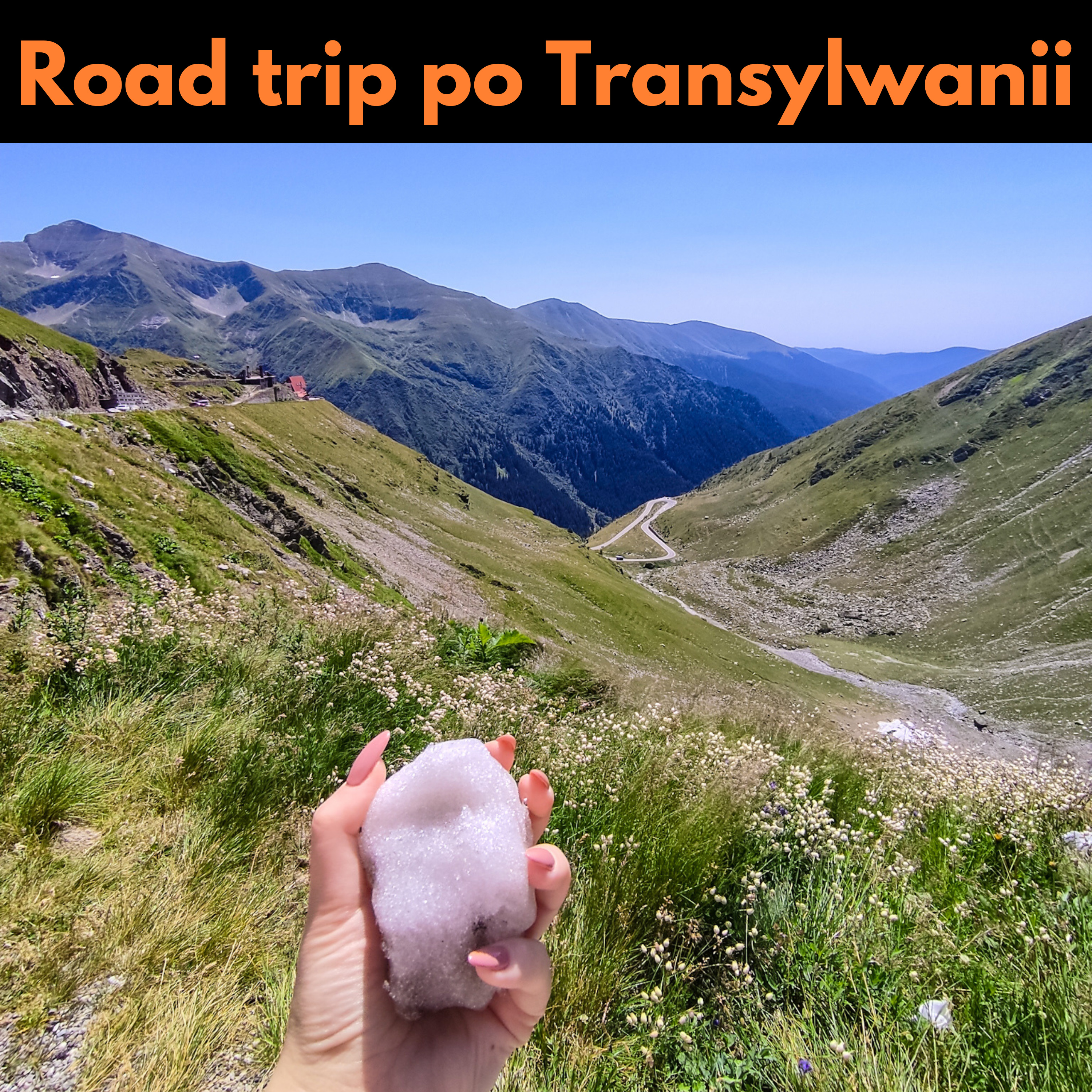 #10 Spotkałam niedźwiedzia, czyli Transylwania samochodem. Co warto zobaczyć w Siedmiogrodzie? episode artwork