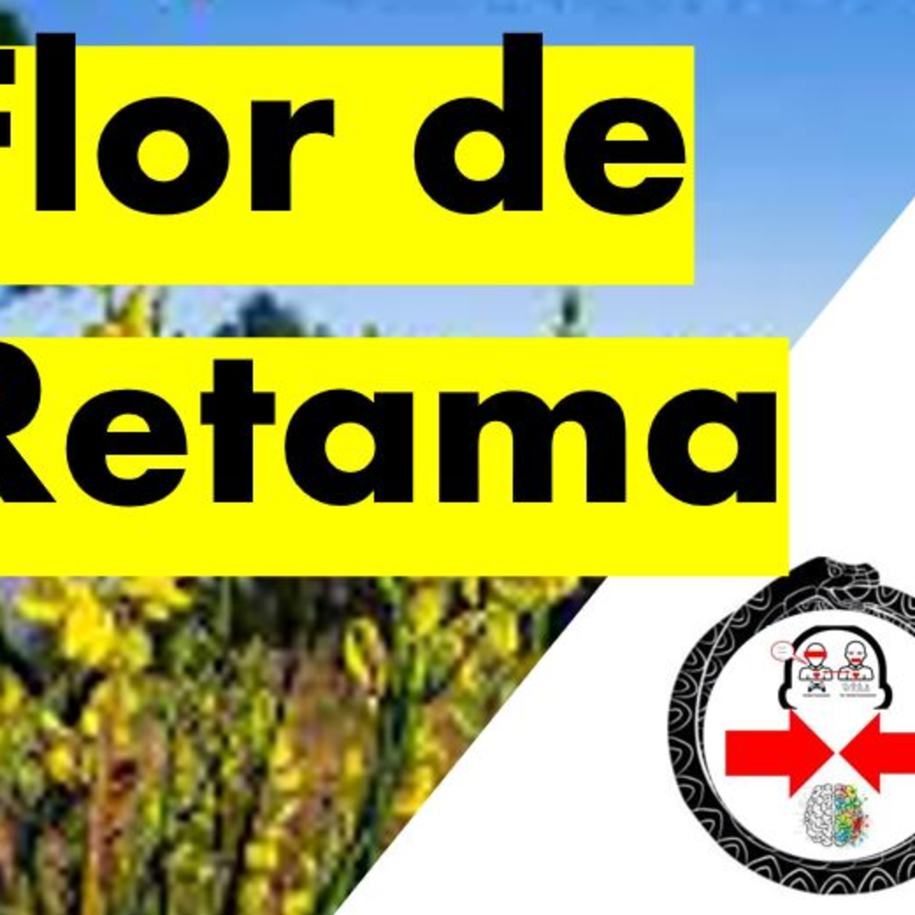Raúl, como siempre