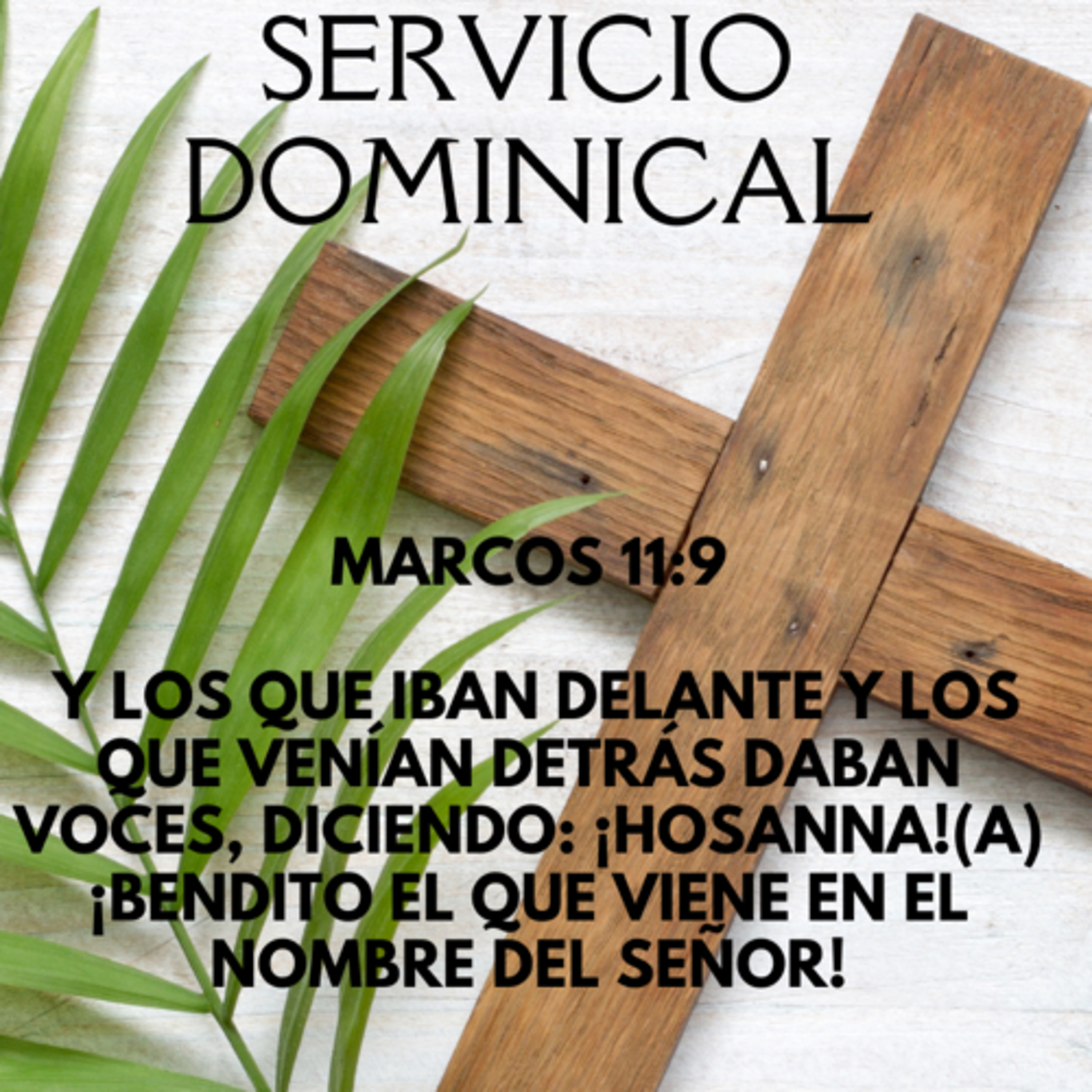 Predicaciones Iglesia Olivo
