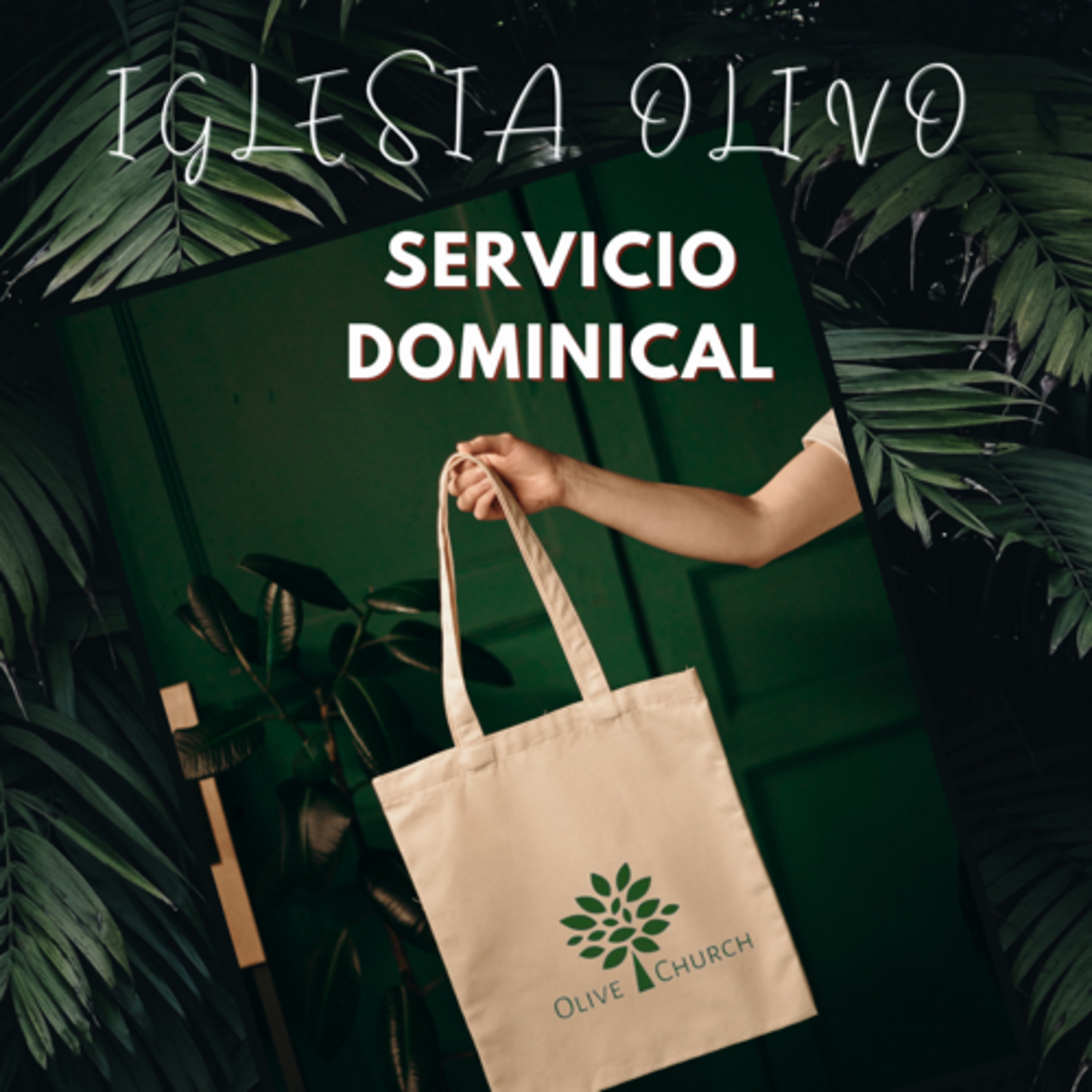 Predicaciones Iglesia Olivo