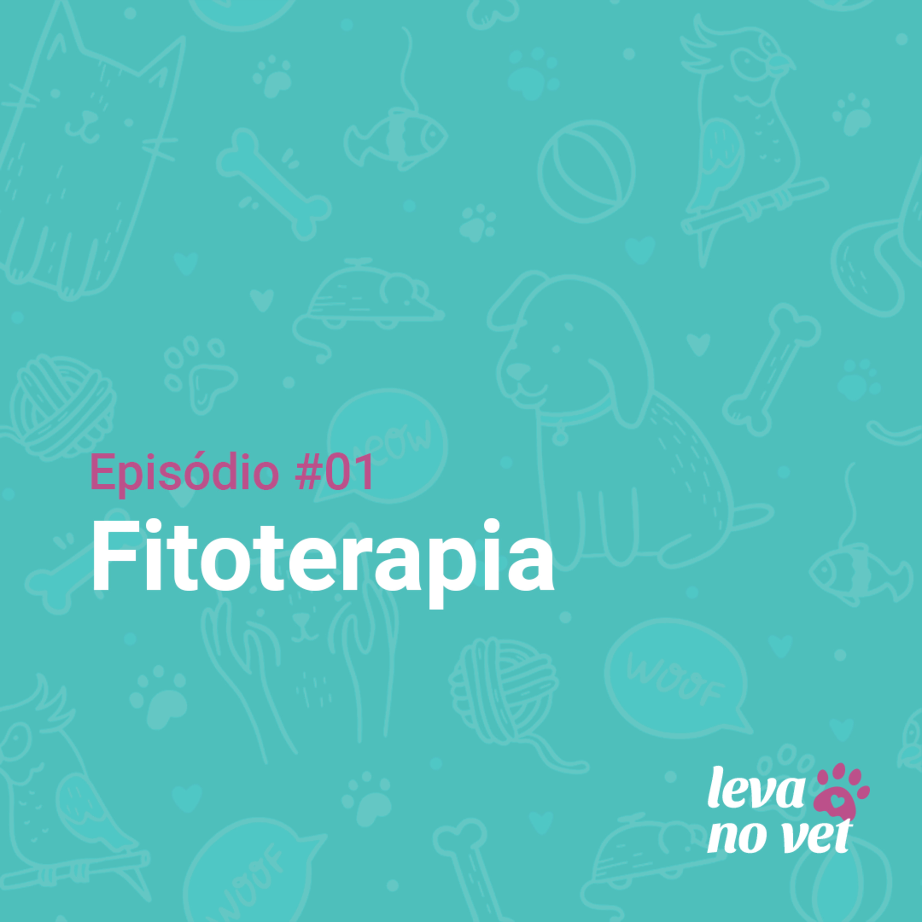 Leva no Vet #1 - Fitoterapia episode artwork