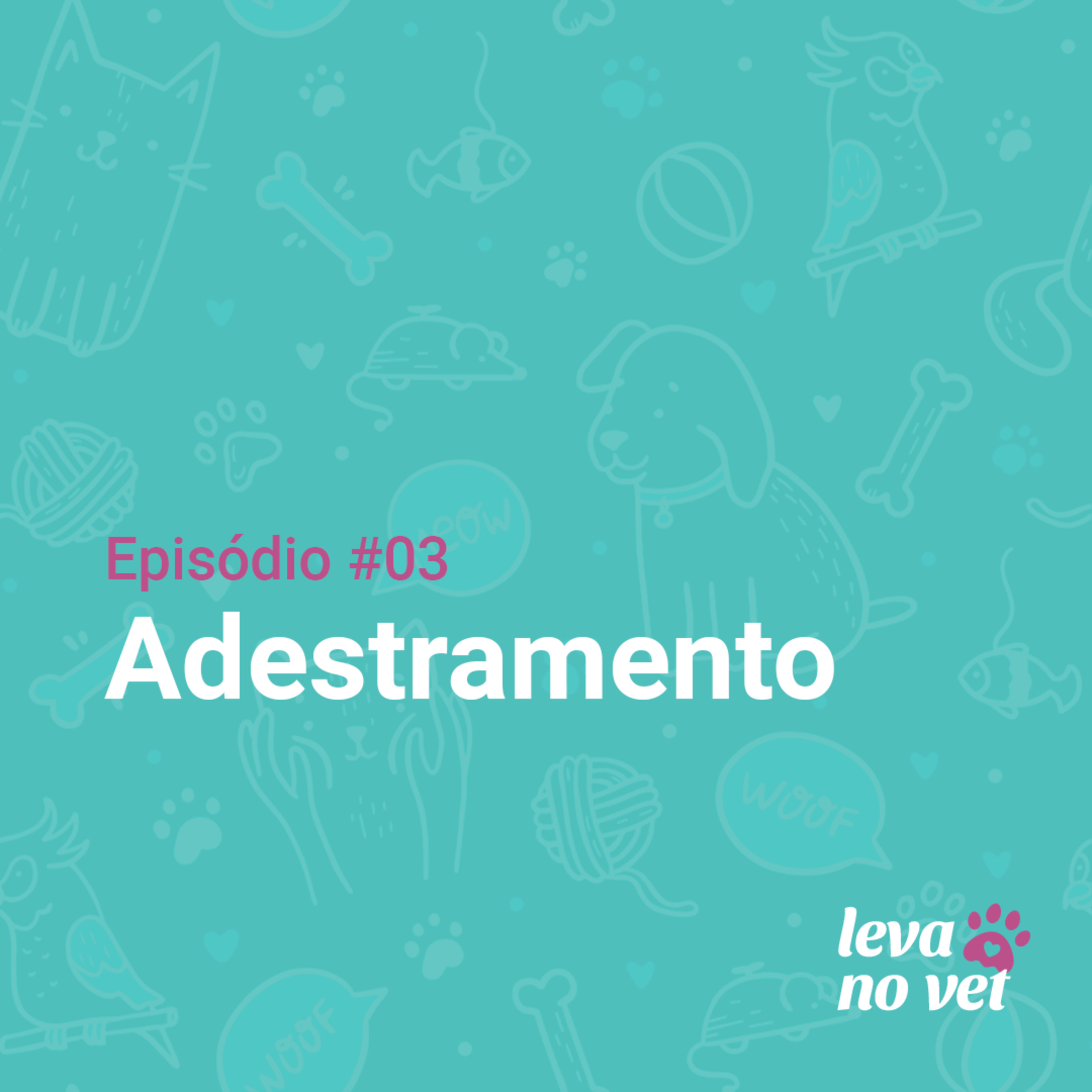 Leva no Vet #3 - Adestramento episode artwork