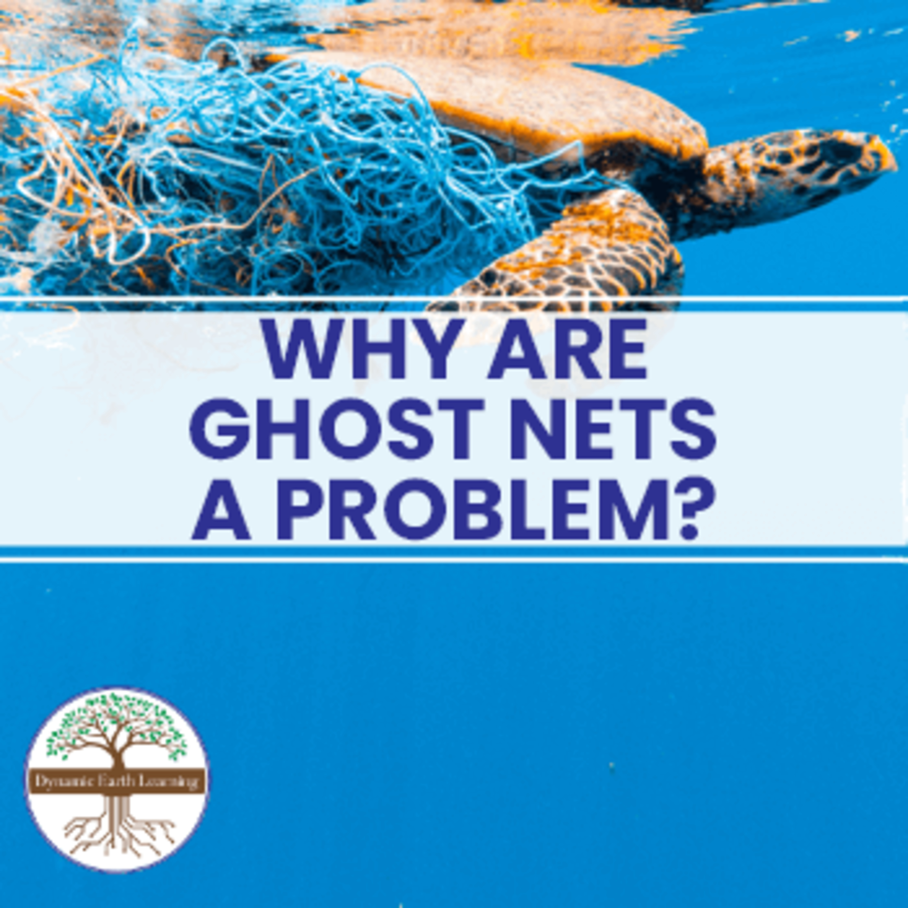 Why Are Ghost Nets a Problem? Dynamic Earth Learning episode artwork