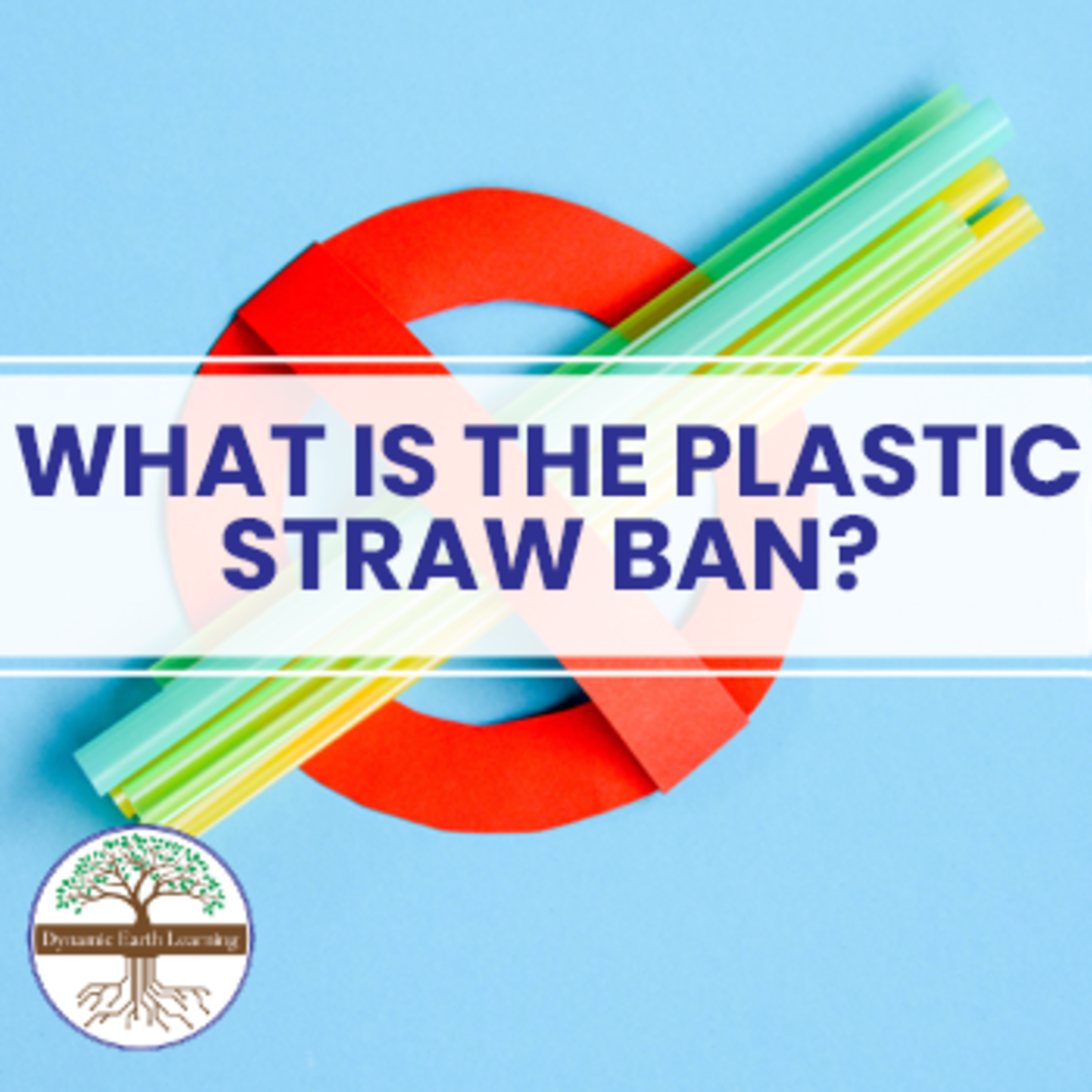 Plastic Straw Ban - Dynamic Earth Learning Podcast episode artwork