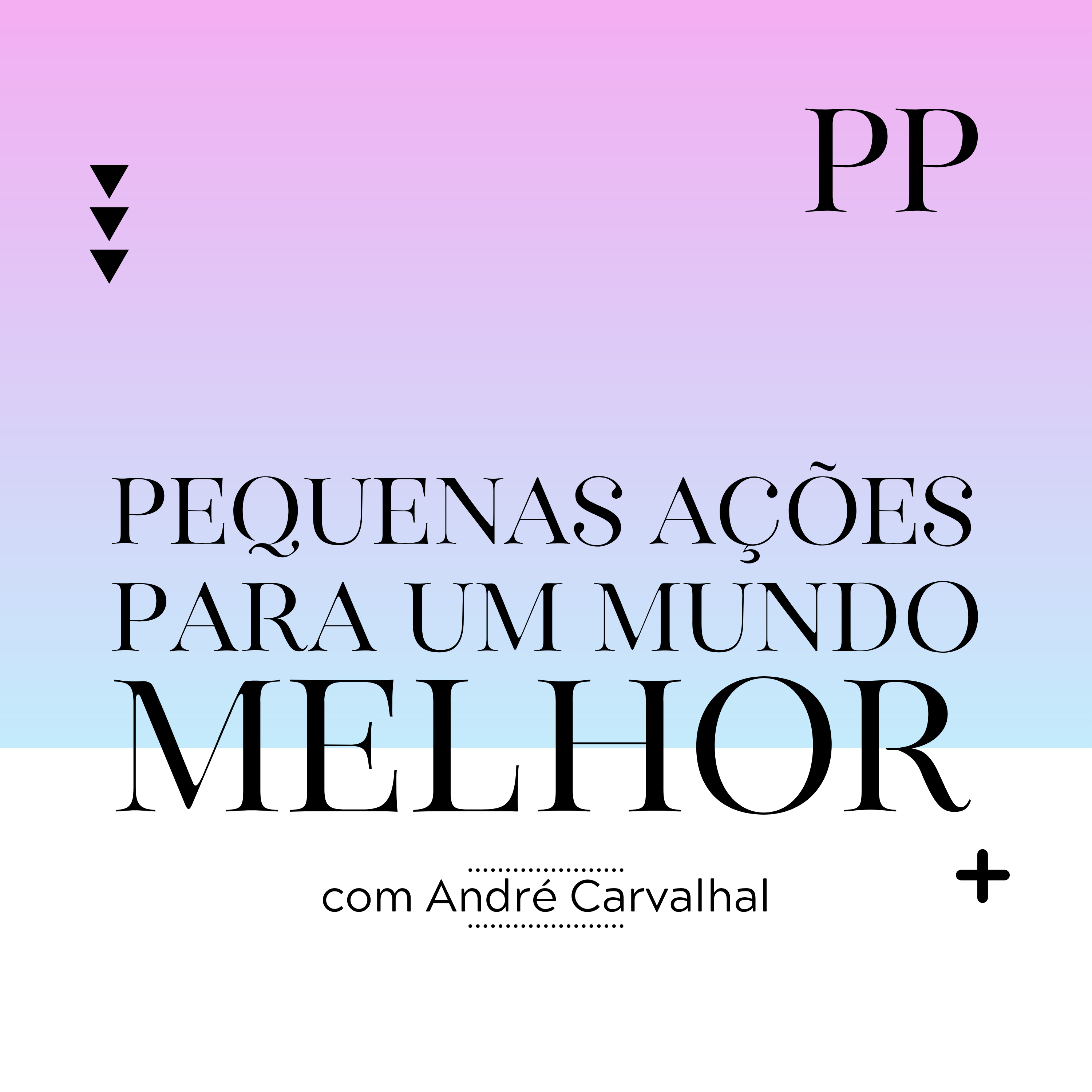 Projeto Piloto