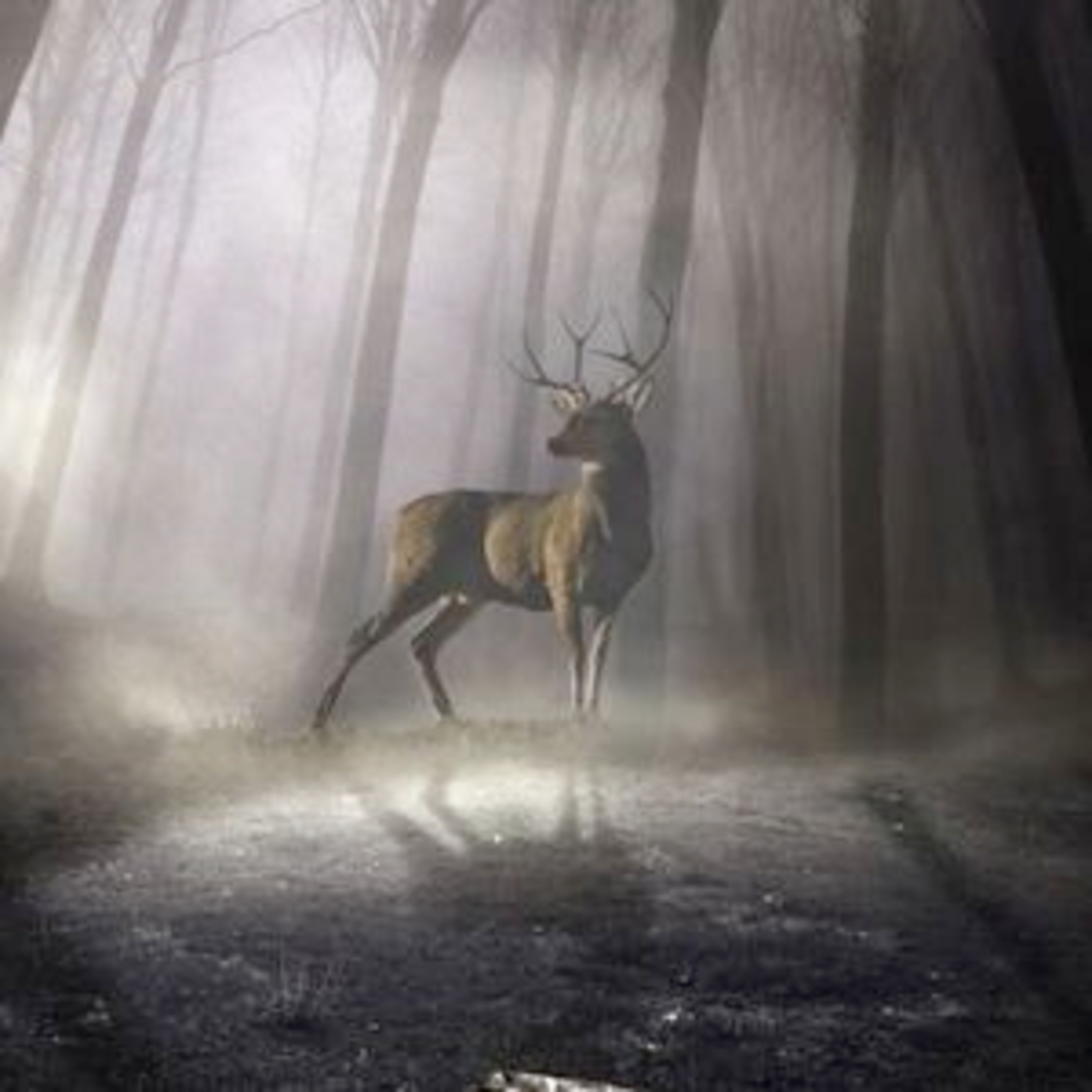 Alex bites the bullet (Αλεξίσφαιρα)