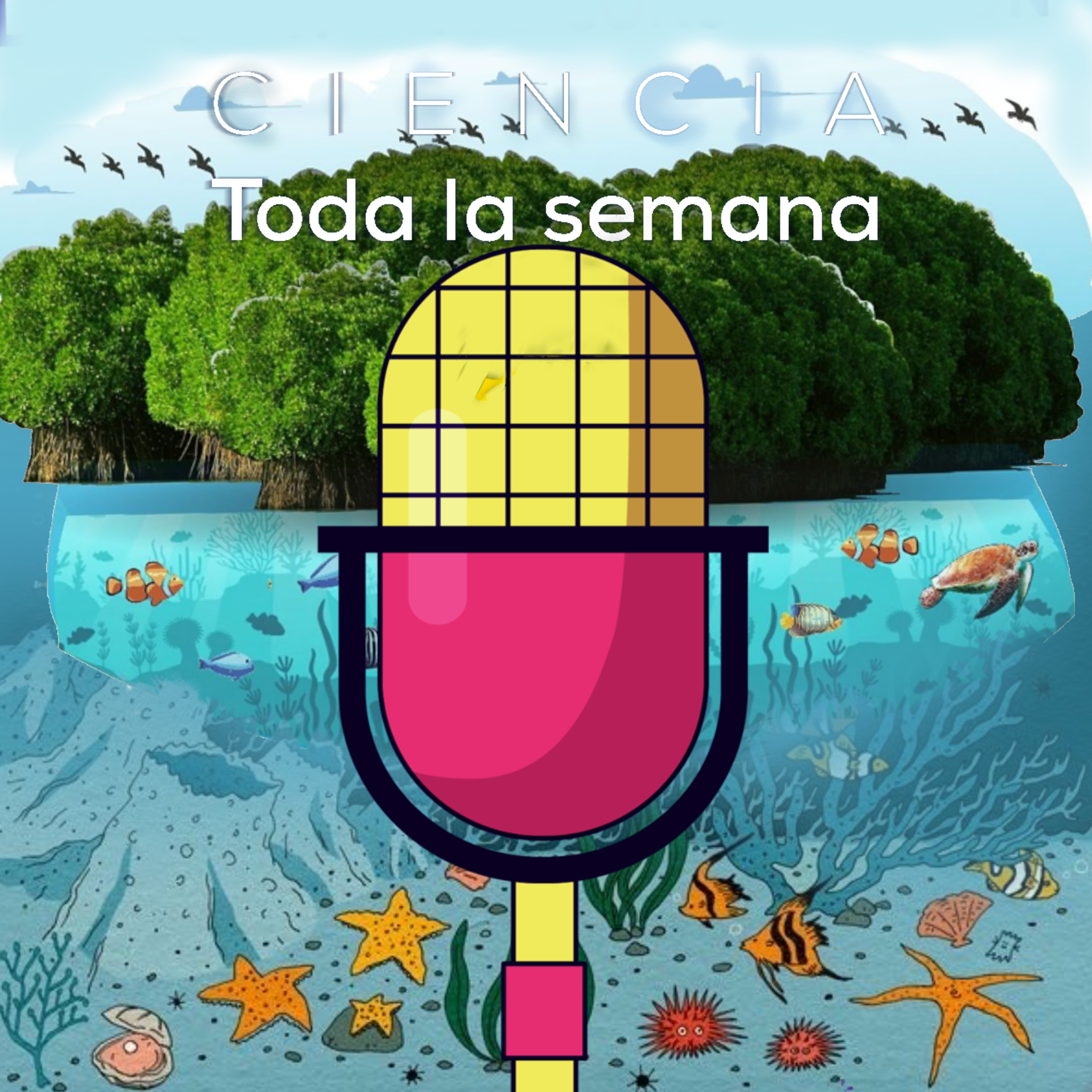 Cucharaditas de Ciencia