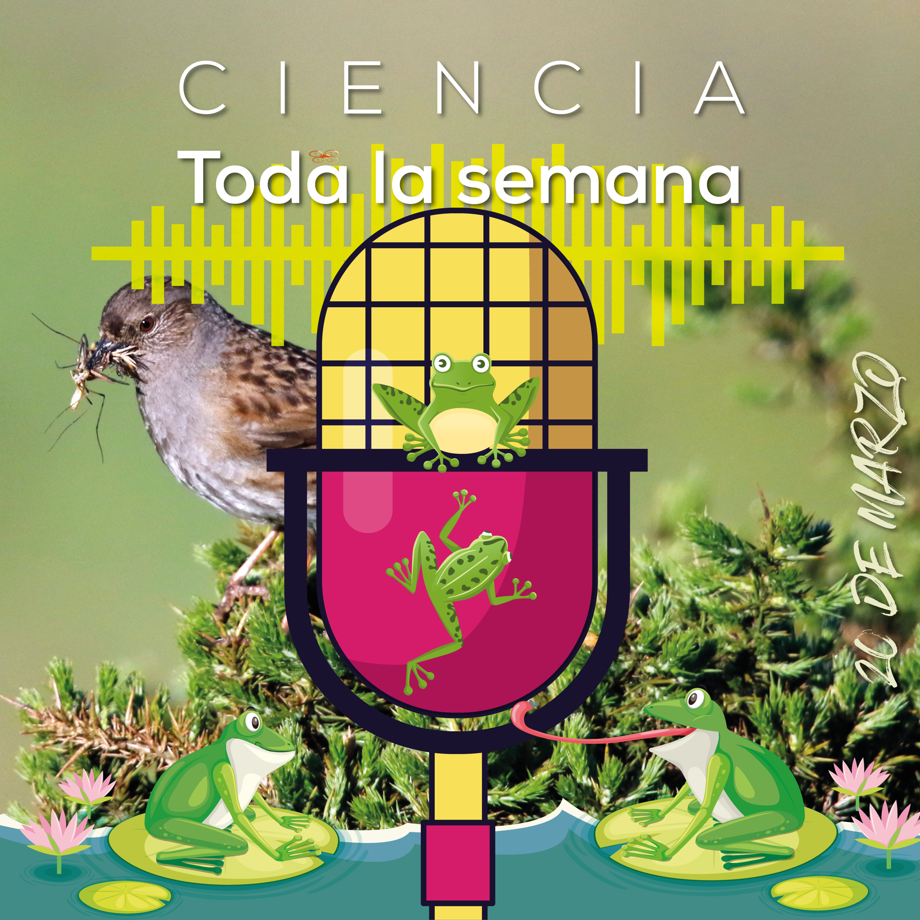 Cucharaditas de Ciencia