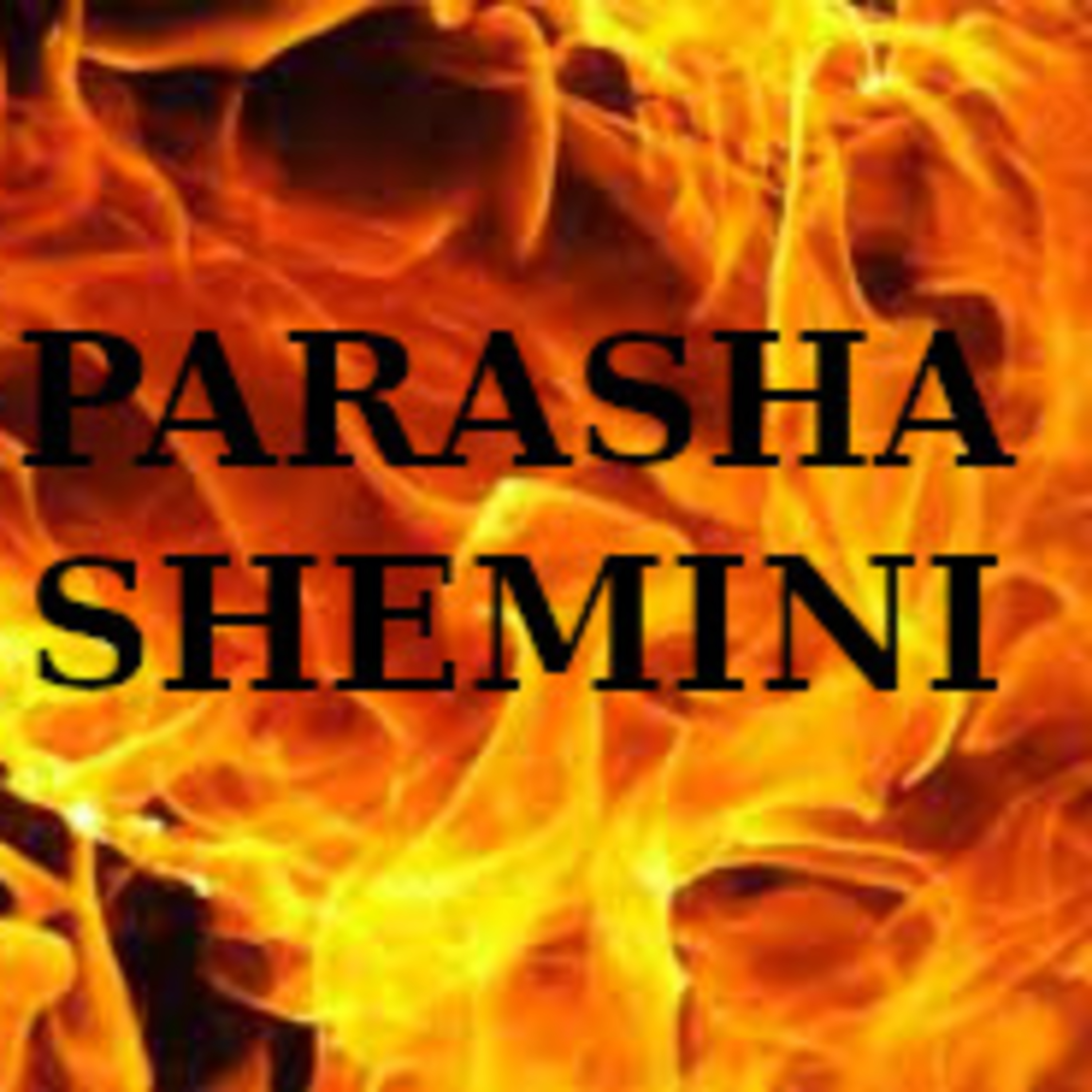 Lectura Parasha Shemini episode artwork