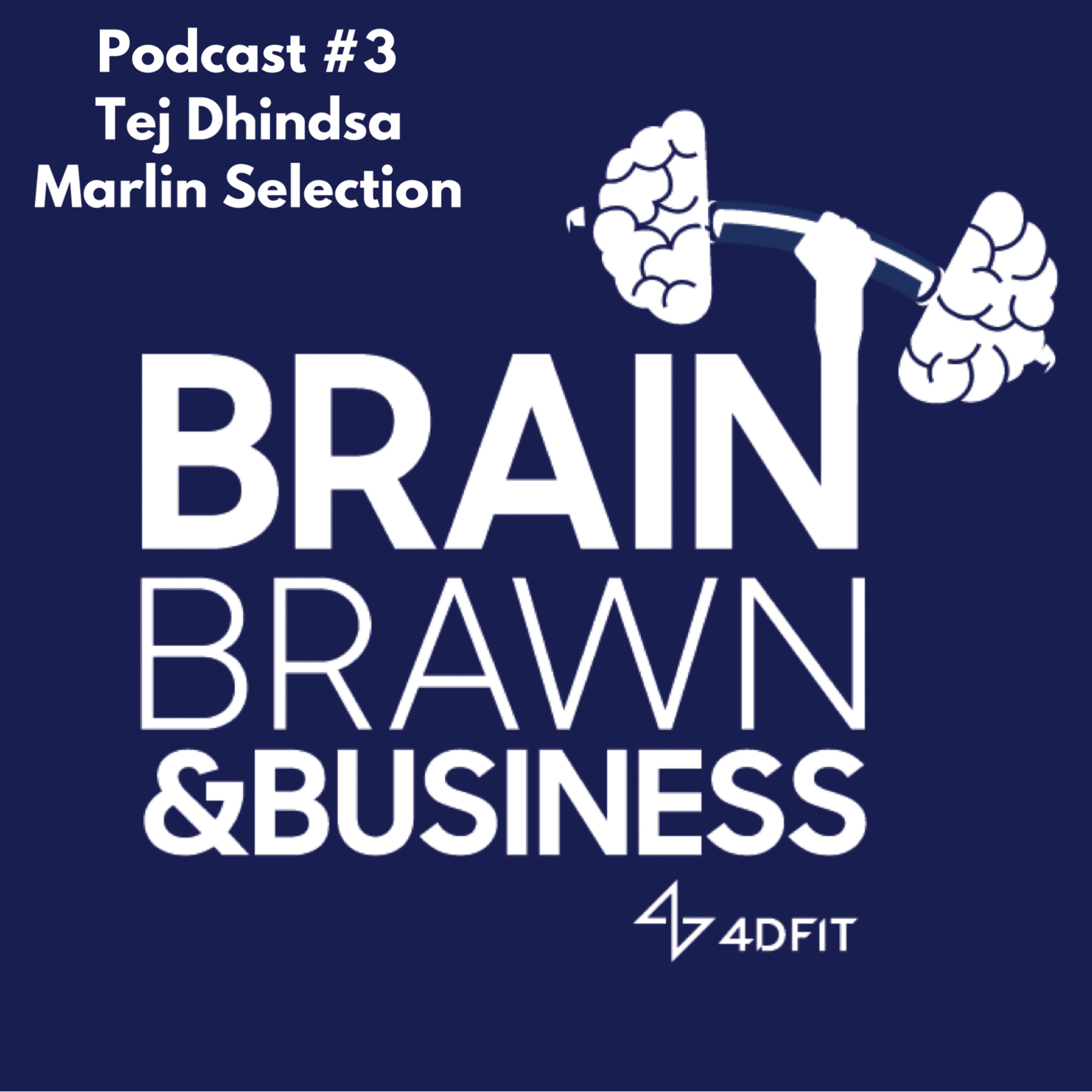 Brain, Brawn & Business