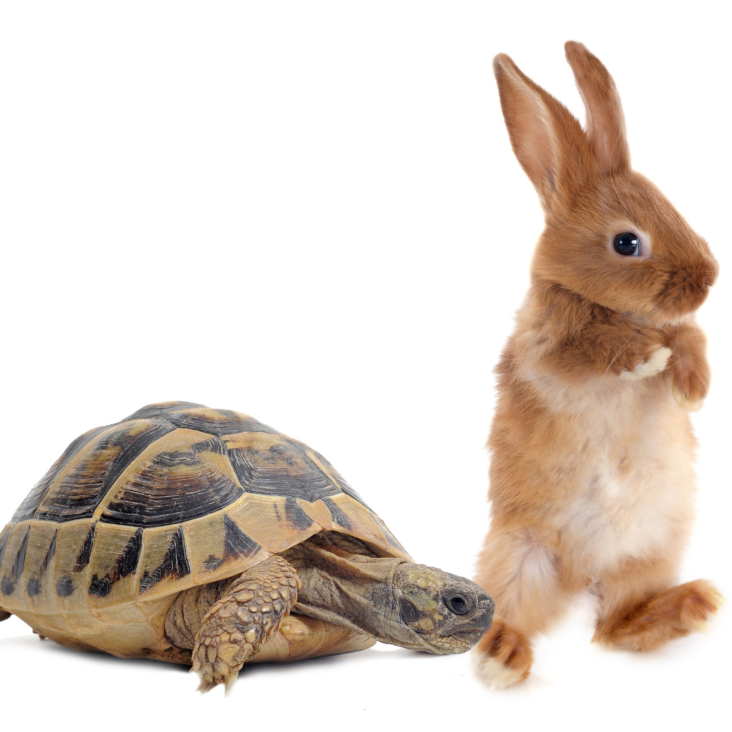 Money Hints and Tips