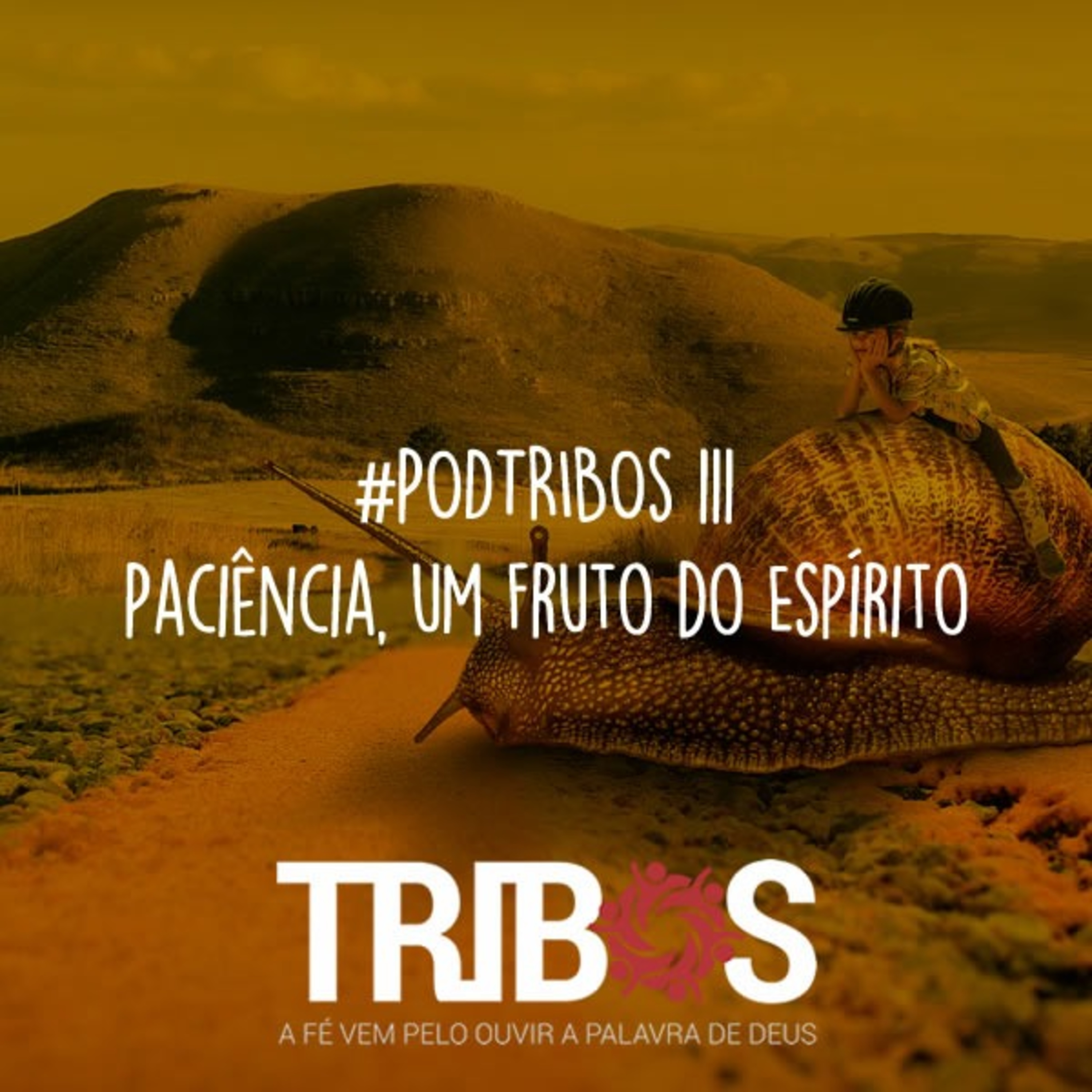 IGREJA TRIBOS