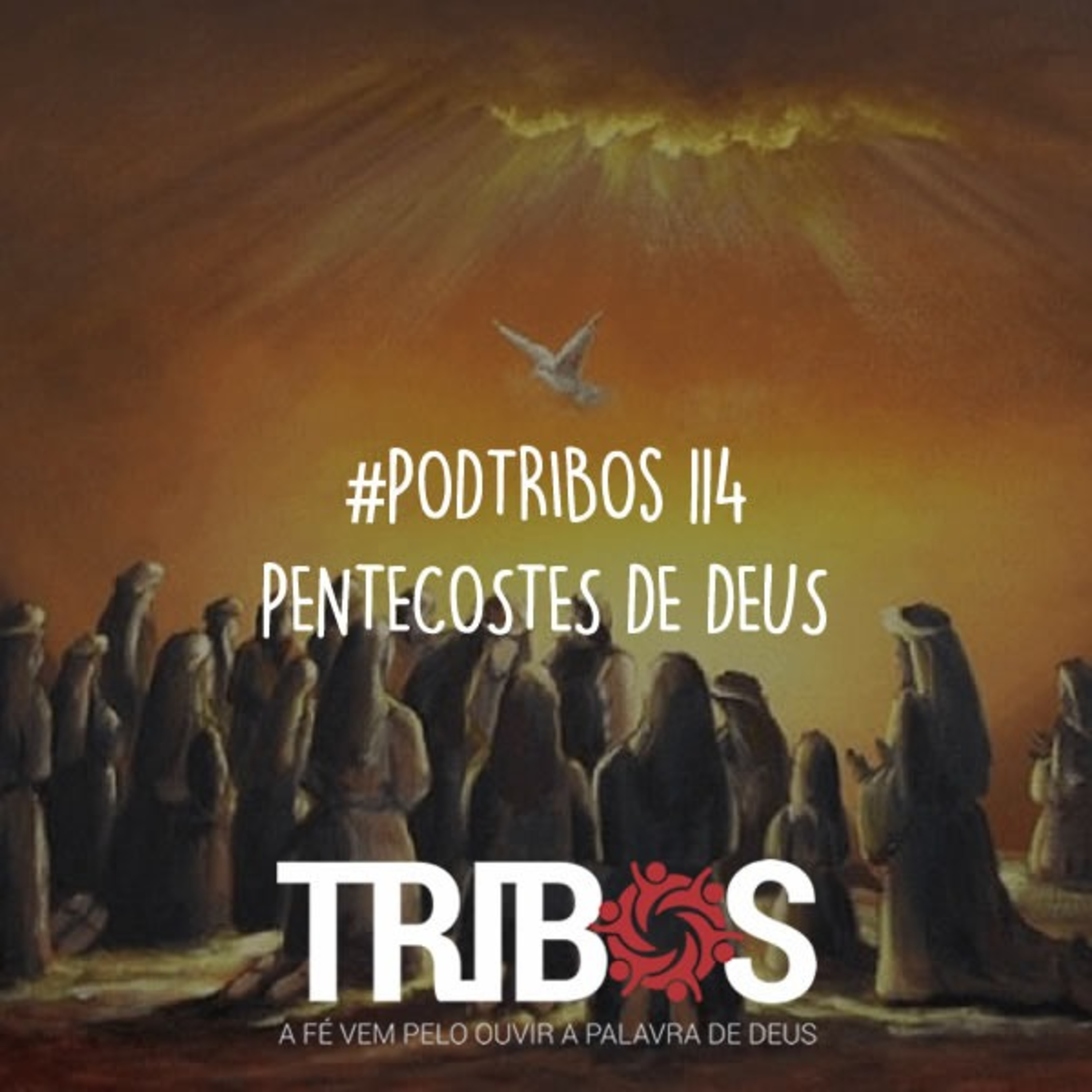 IGREJA TRIBOS
