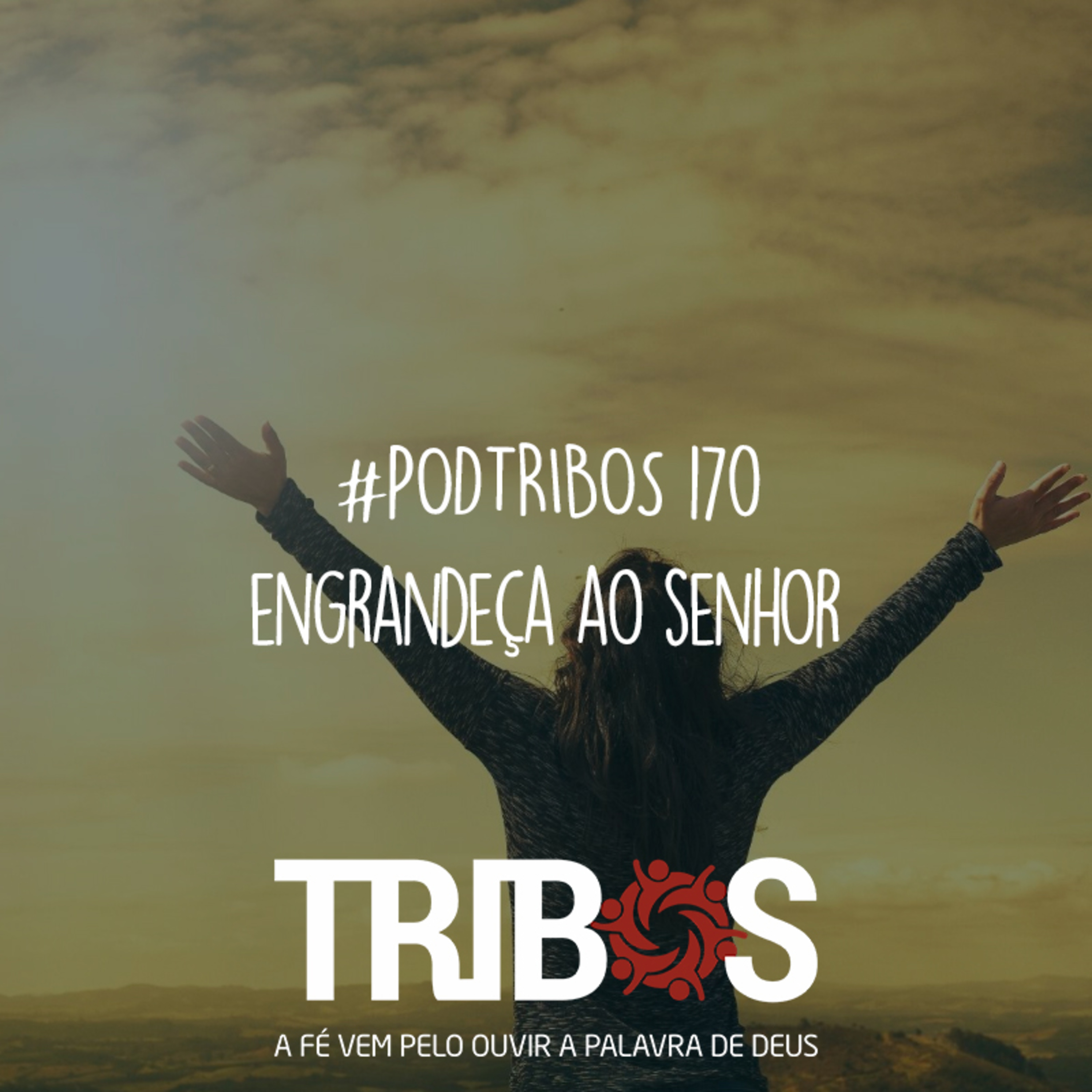 IGREJA TRIBOS