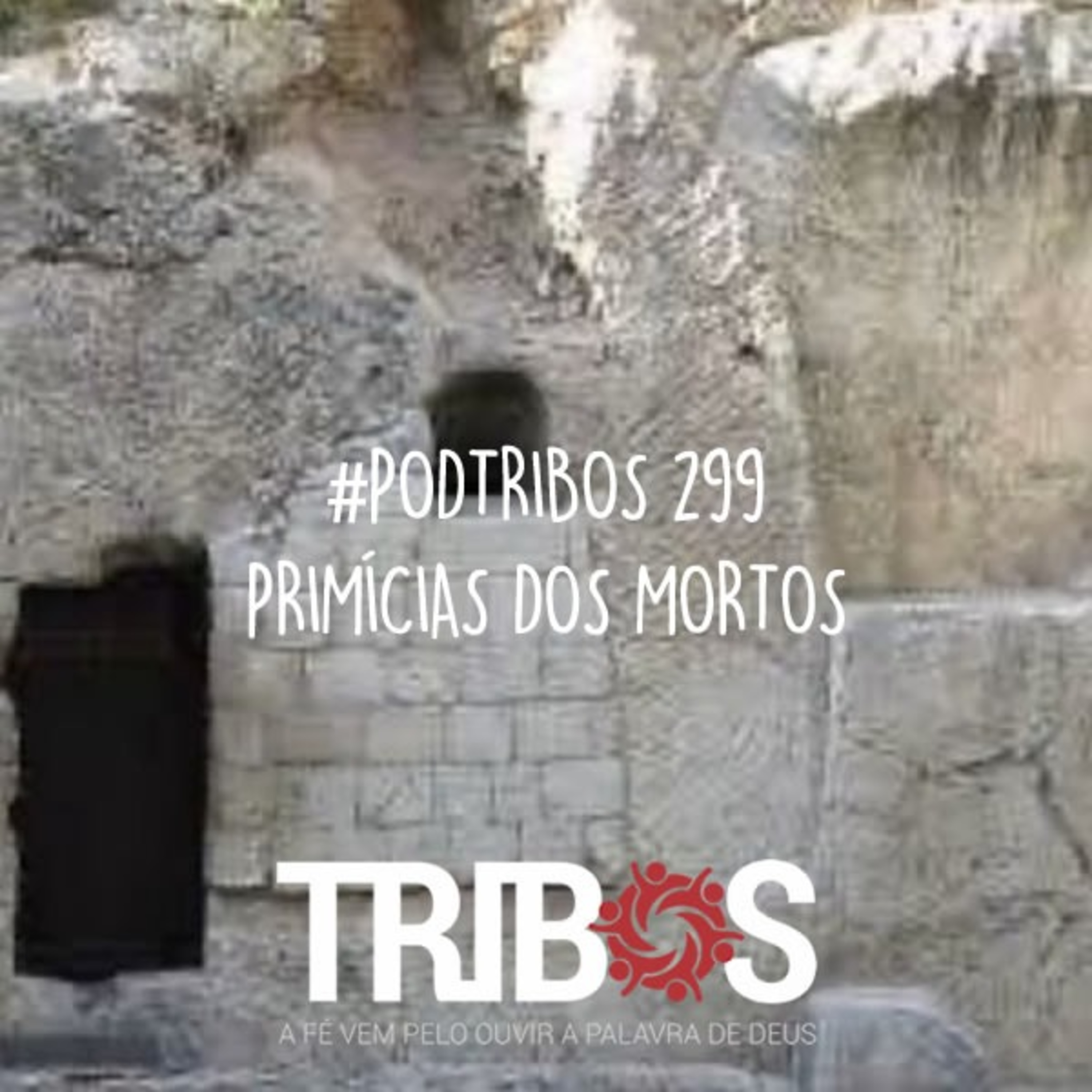 IGREJA TRIBOS