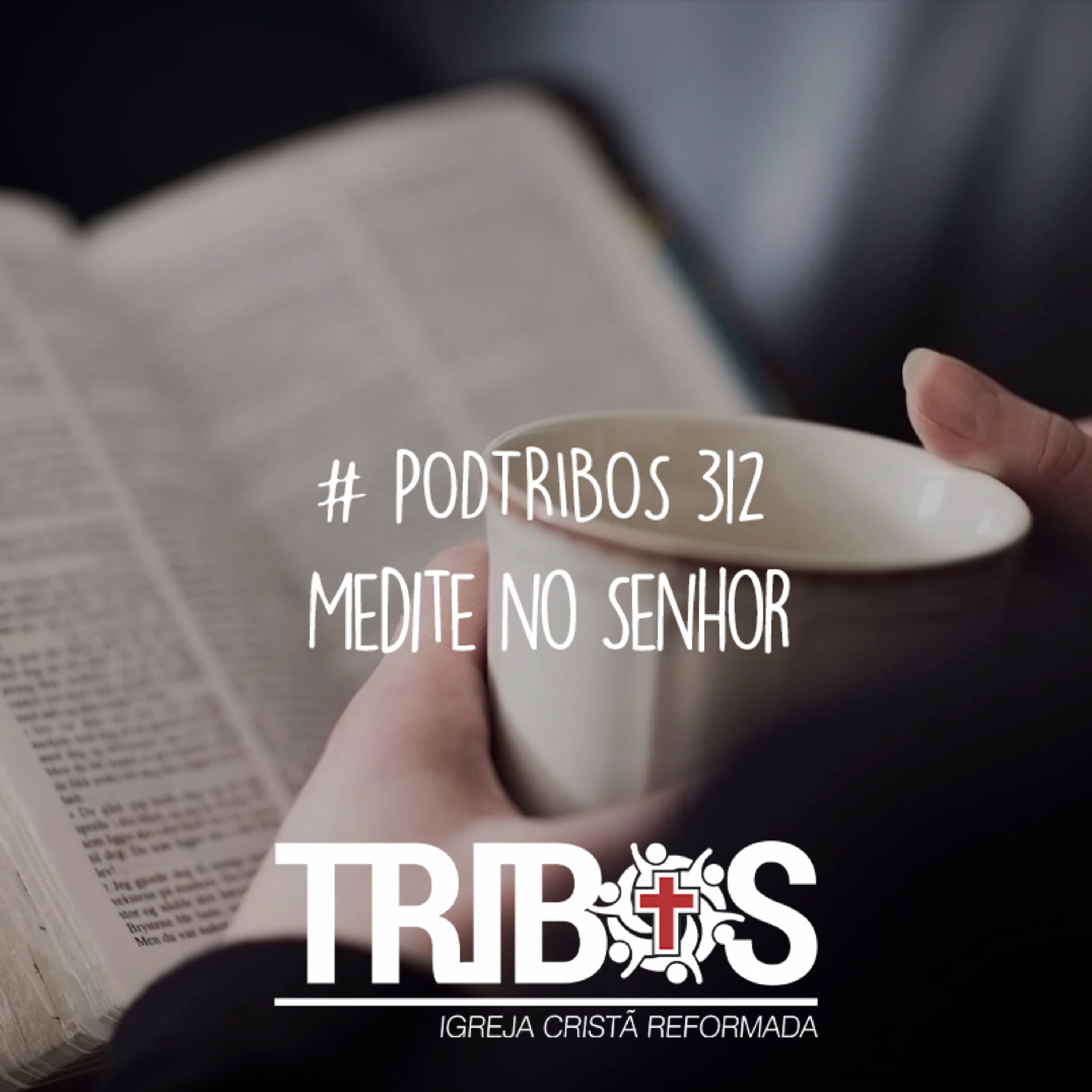 IGREJA TRIBOS