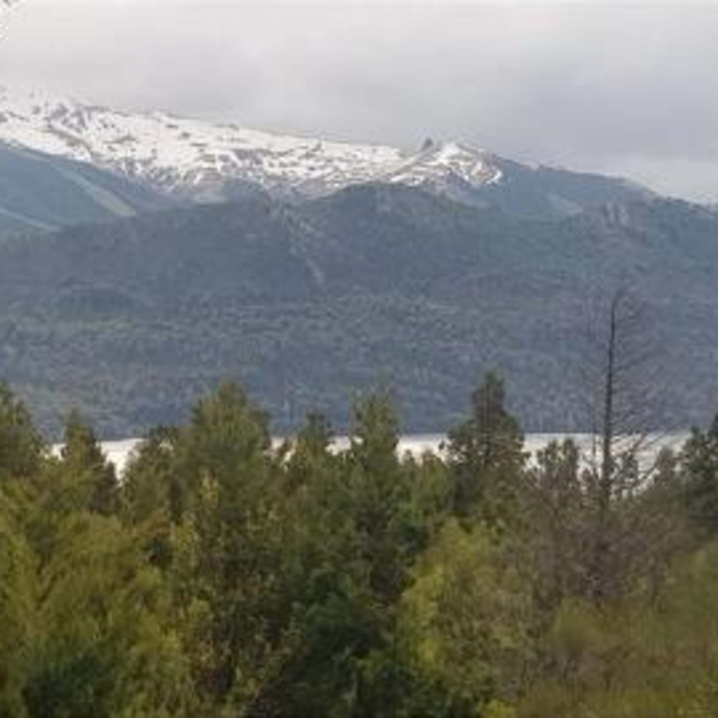 Vecinos de Villa Lago Gutiérrez a puntos de ser desalojados: "De acá en adelante corre riesgo nuestra vida"