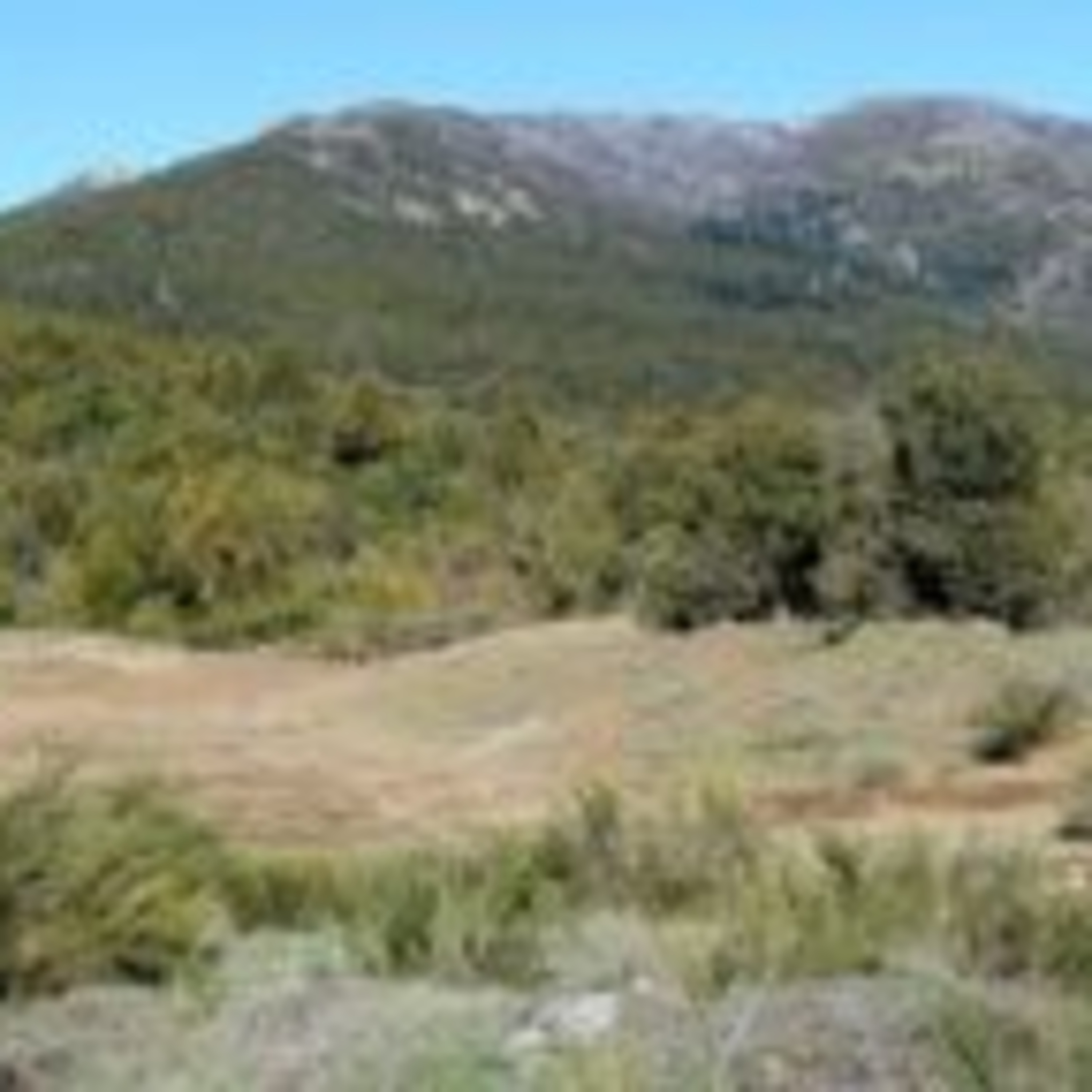 Ejército desarmó un invernadero en la comunidad Millalonco-Ranquehue