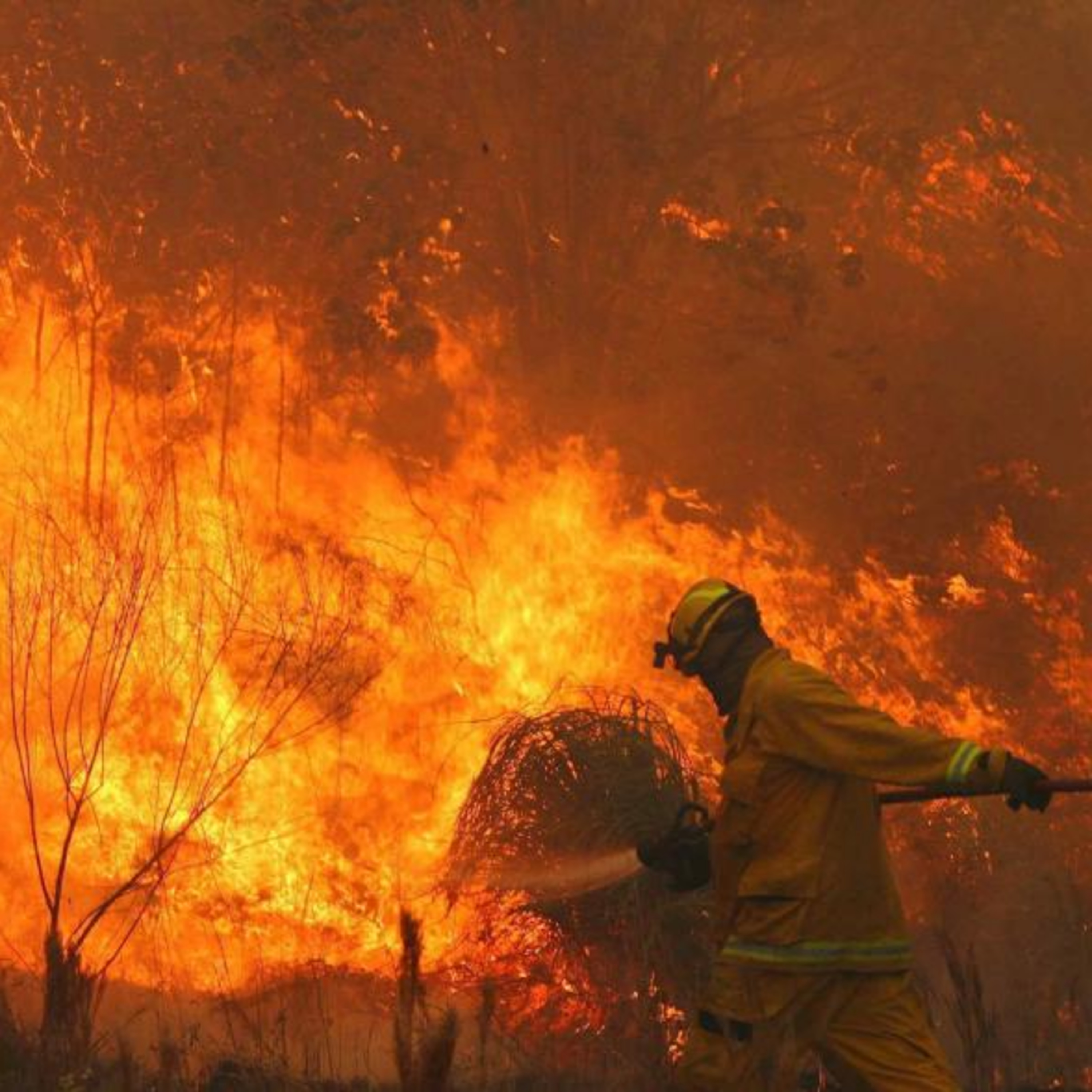 Regresaron los brigadistas del SPLIF que viajaron a combatir los incendios en Córdoba