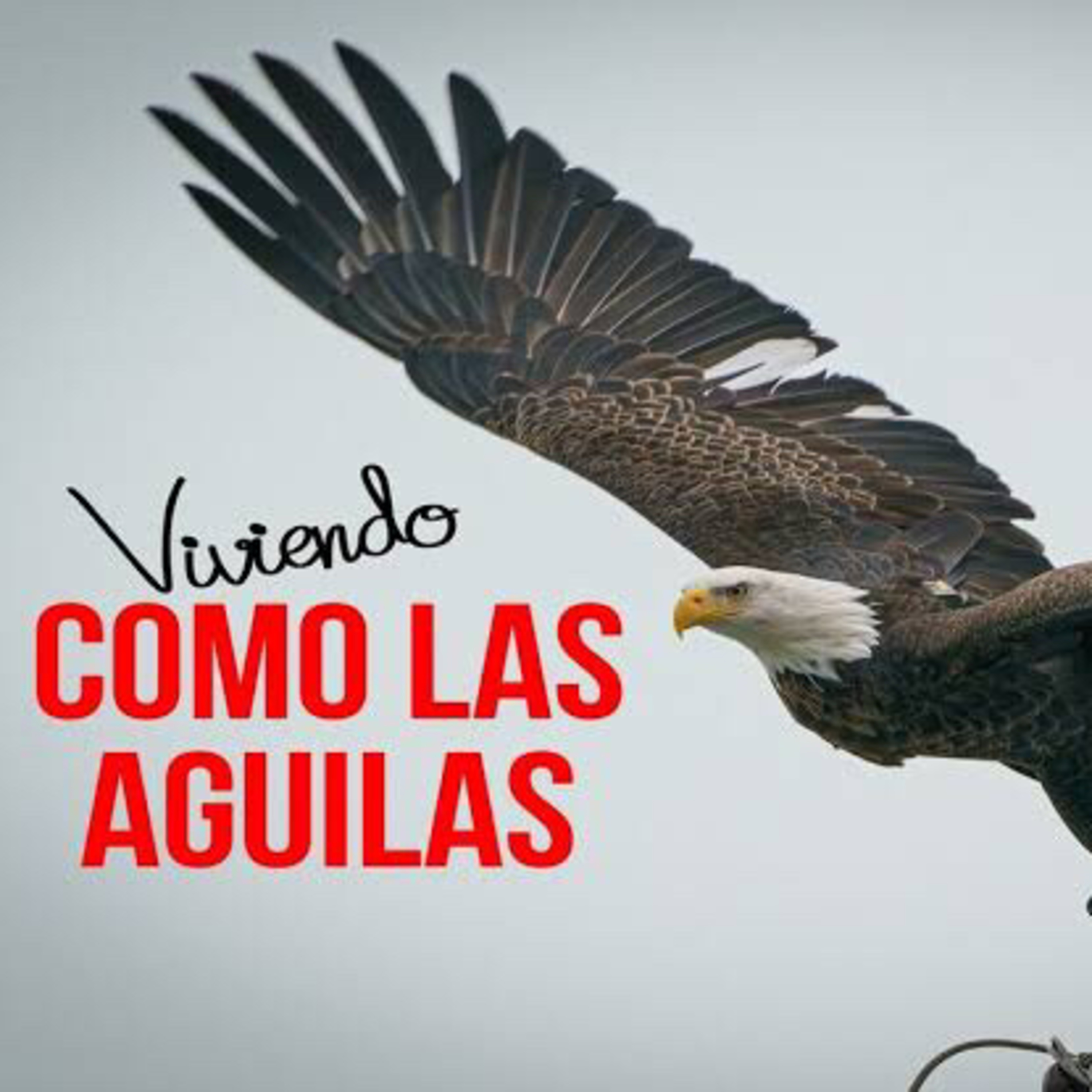 365 Devociones Que Cambiarán Tu Vida. Lecturas Diarias tomadas del libro El Poder del Yo Soy.