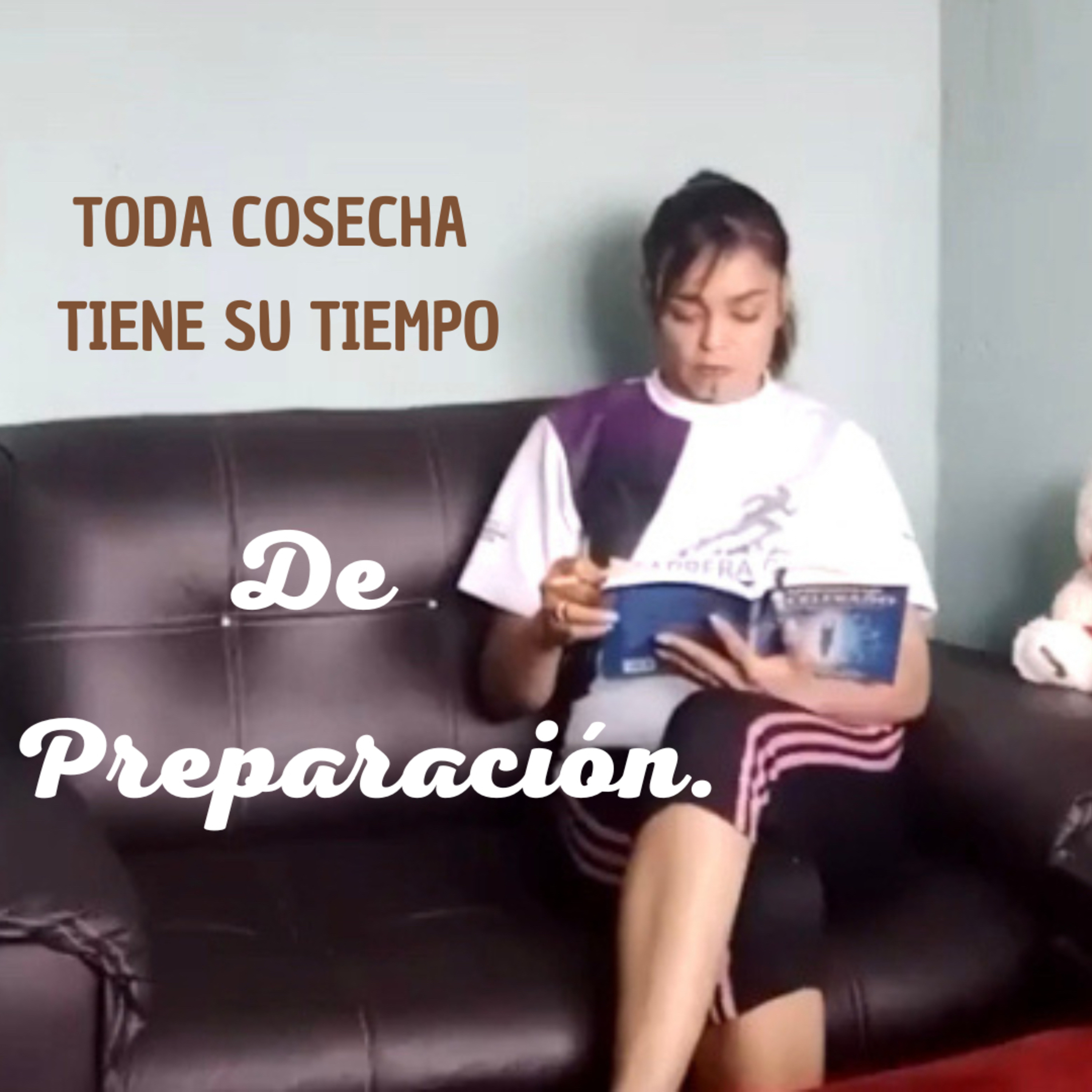 365 Devociones Que Cambiarán Tu Vida. Lecturas Diarias tomadas del libro El Poder del Yo Soy.