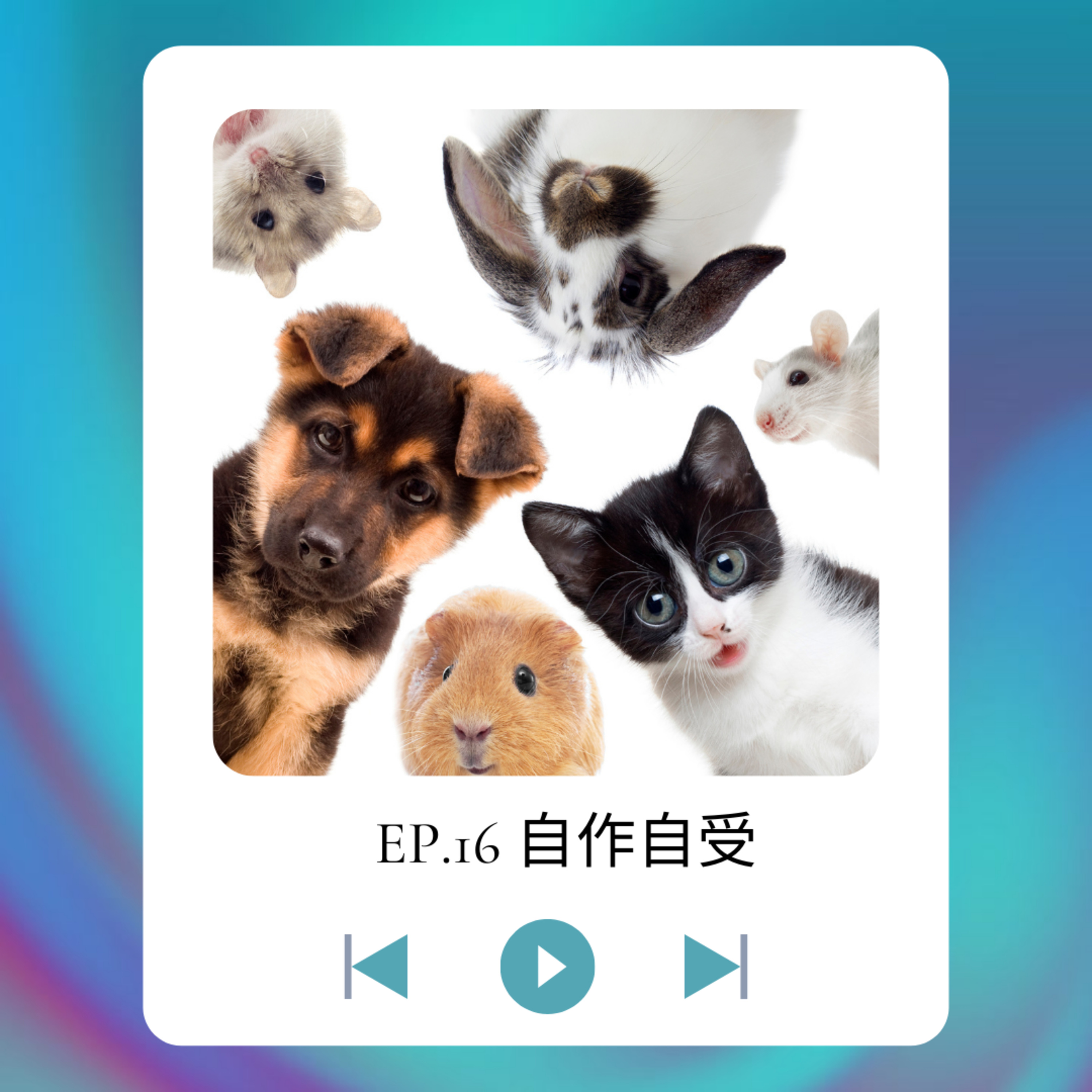 菲\'s Time｜分享生活點滴