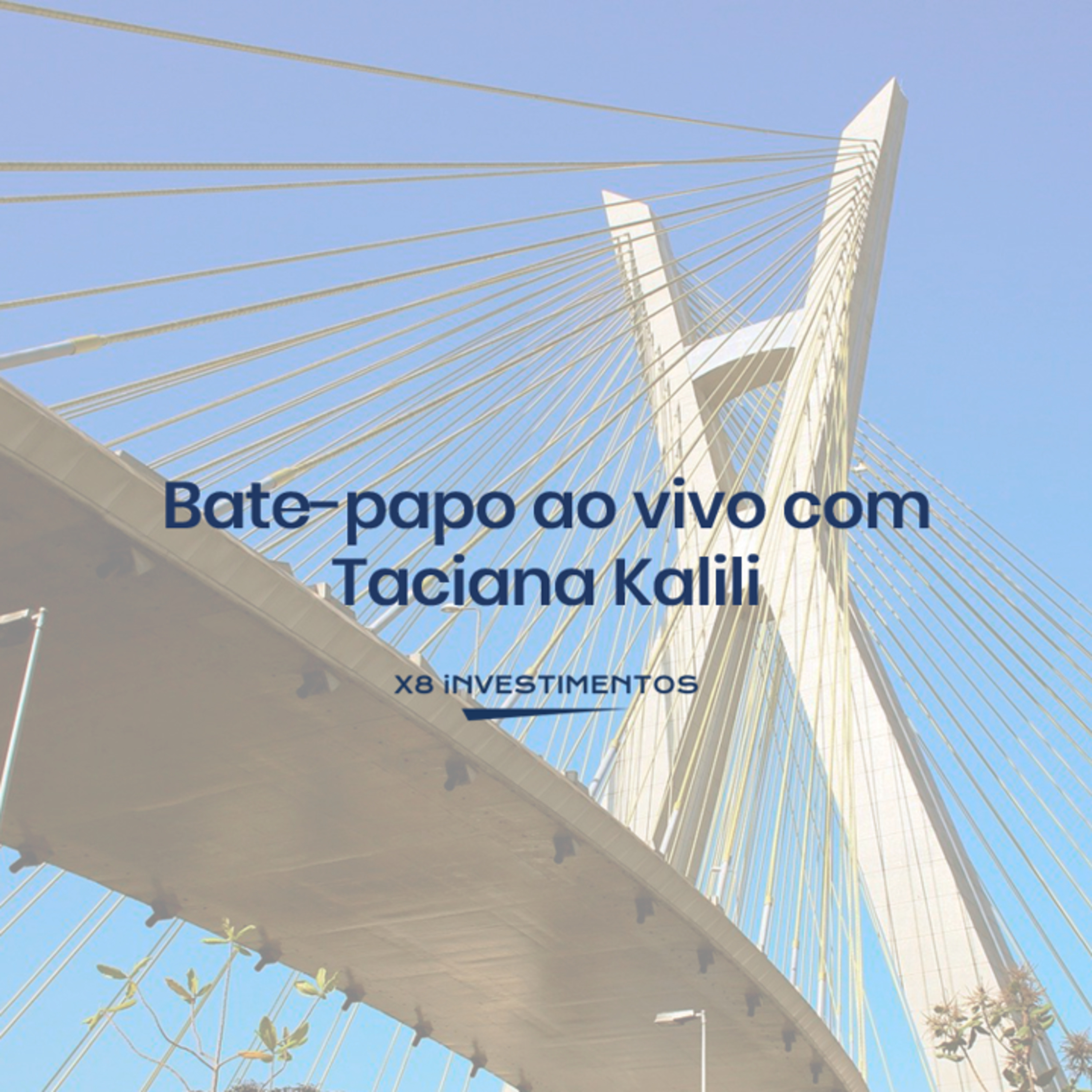 Bate-papo X8 Investimentos