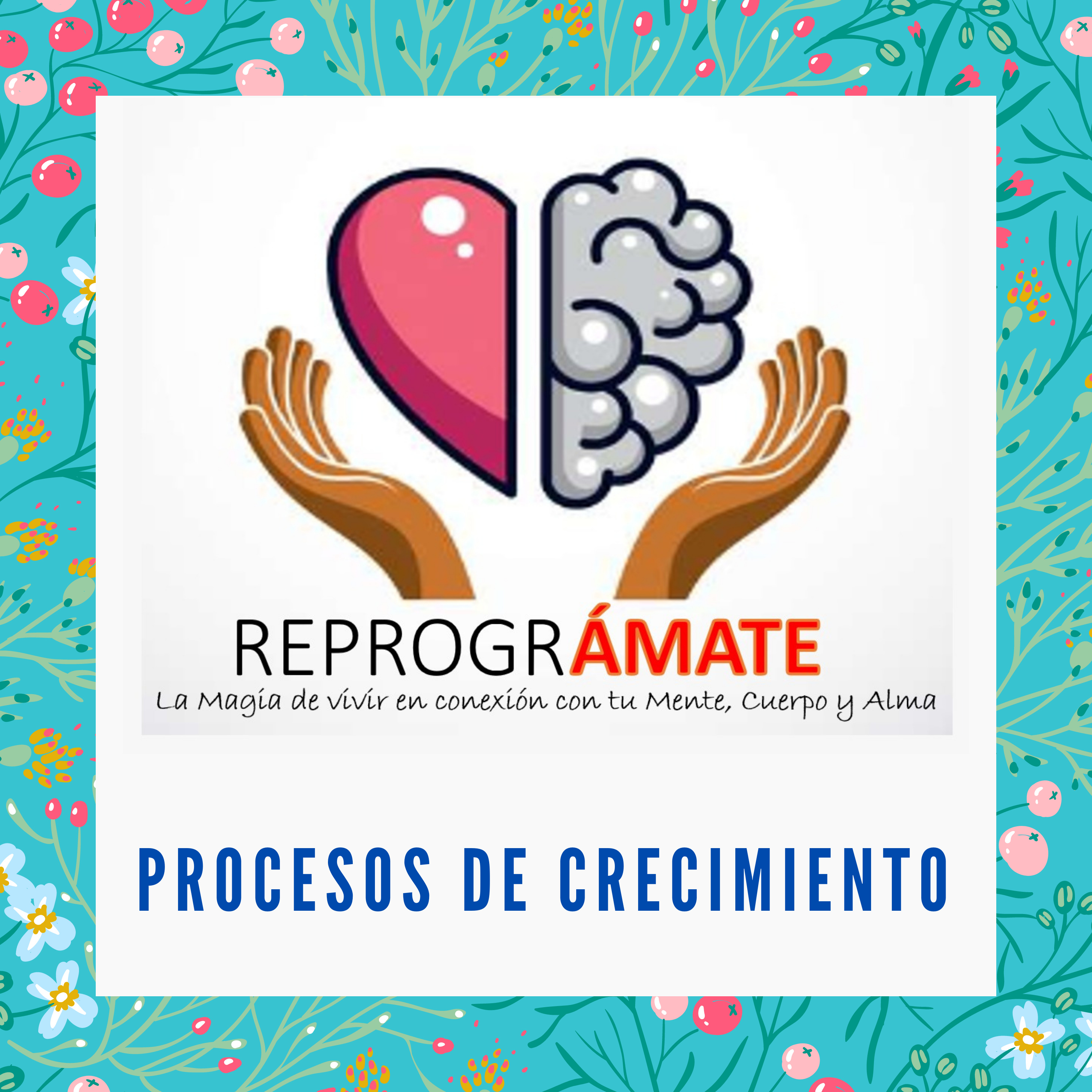 Reprográmate