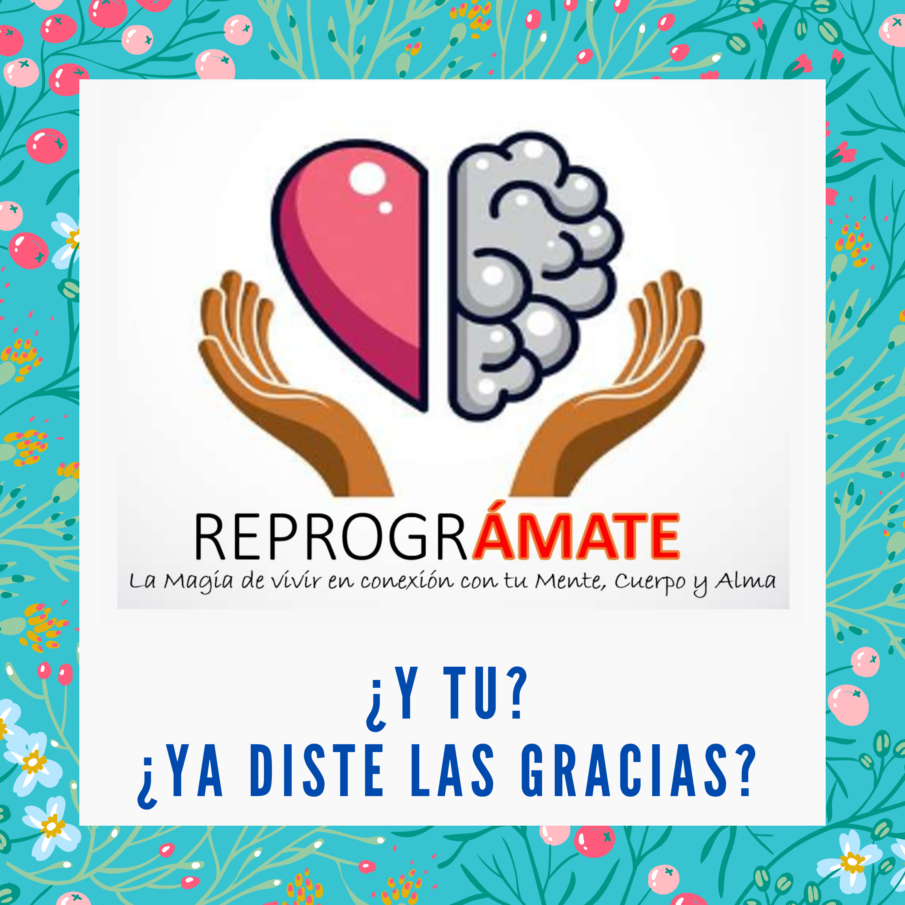 Reprográmate