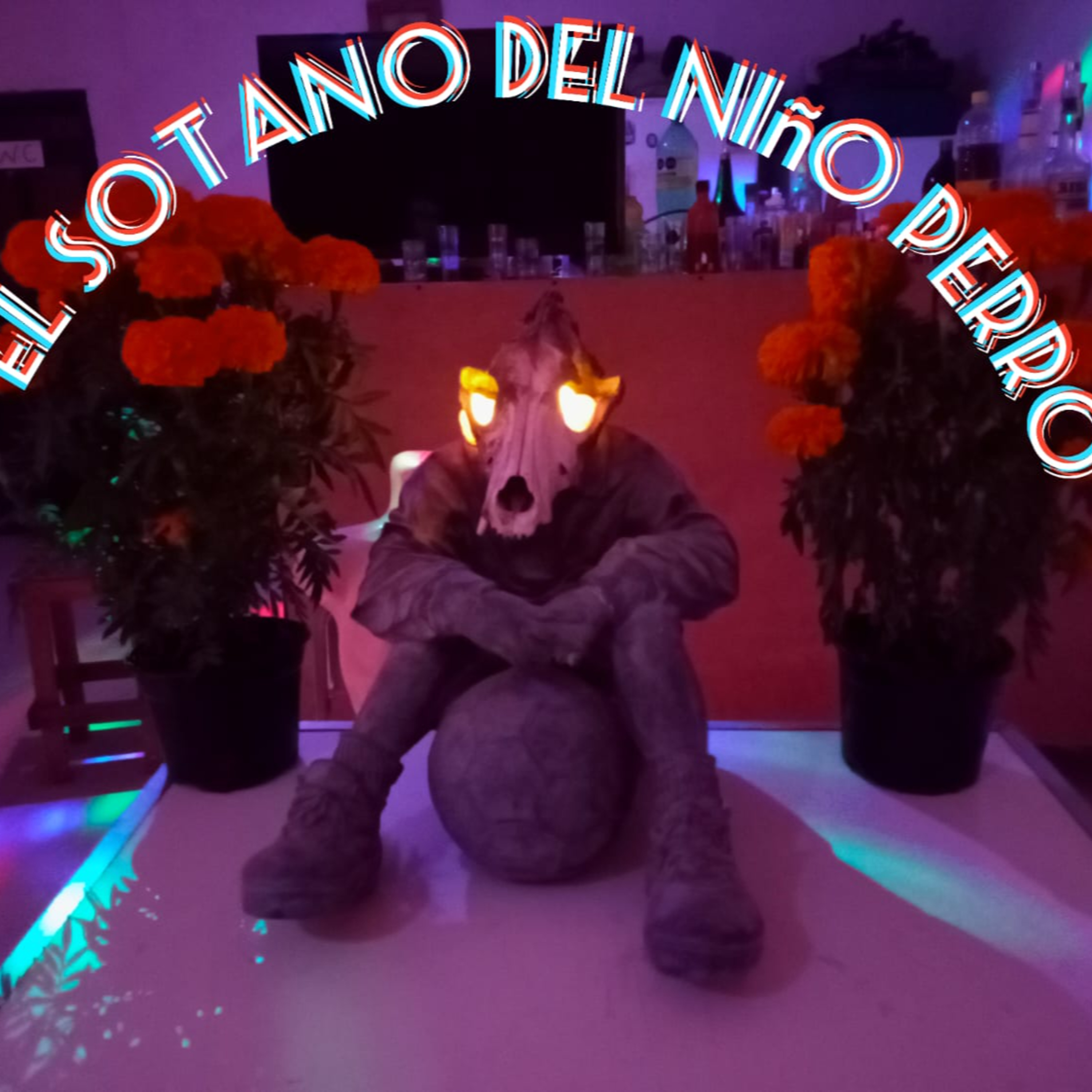 el sotano del niño perro