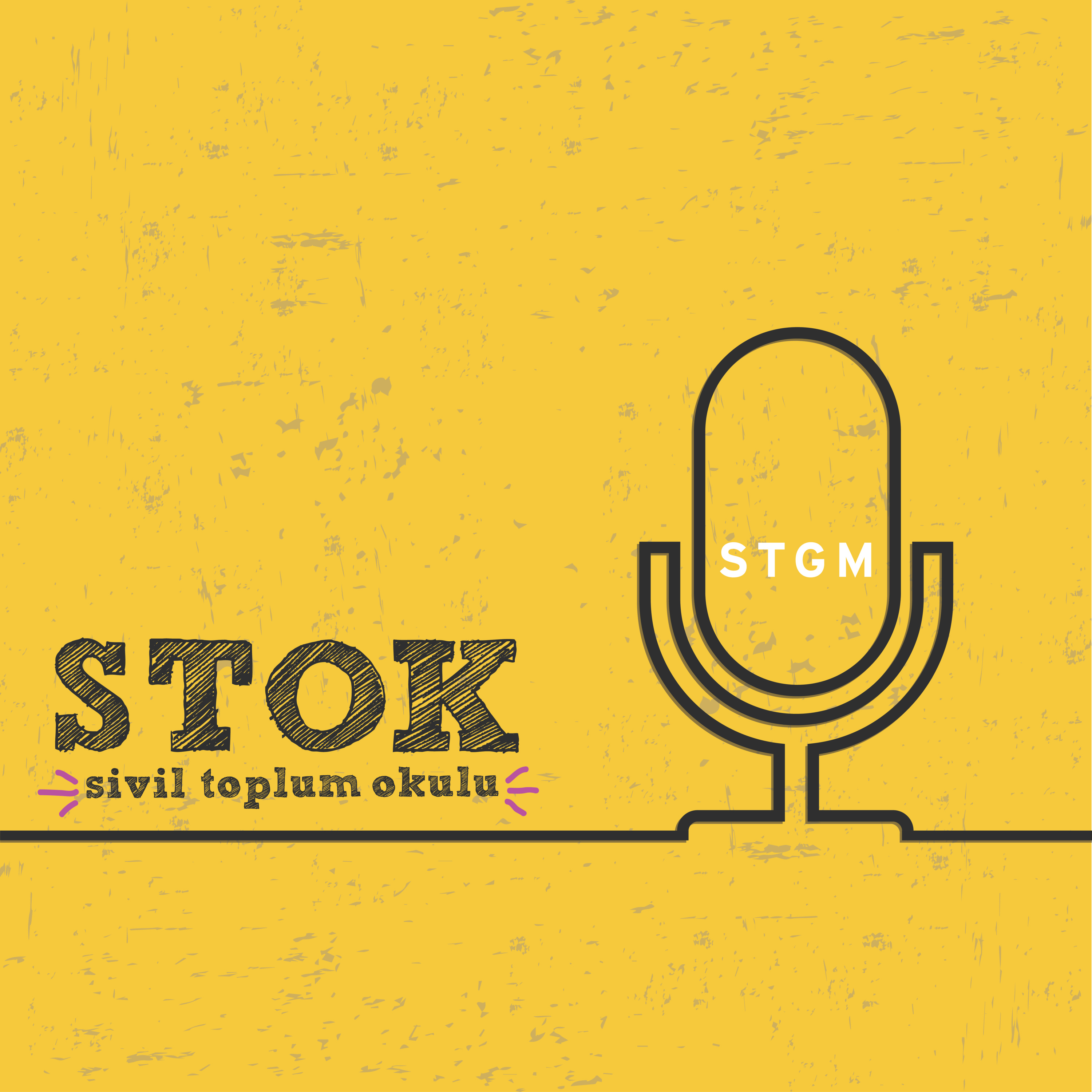 Türkiye'de Sivil Toplum'un Katılım Macerasına Bir Örnek - Esin Koman.mp3