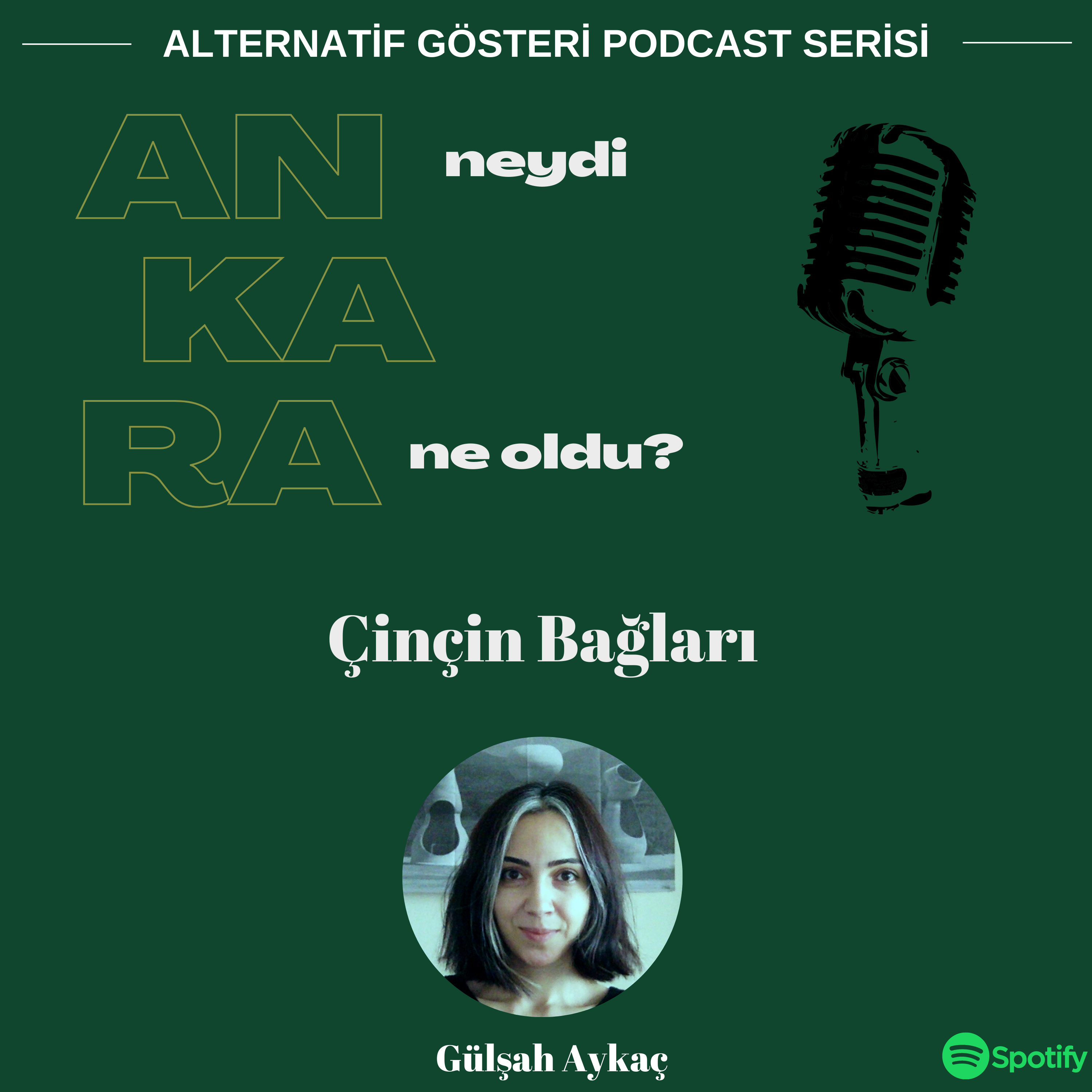 Ankara Neydi Ne Oldu?
