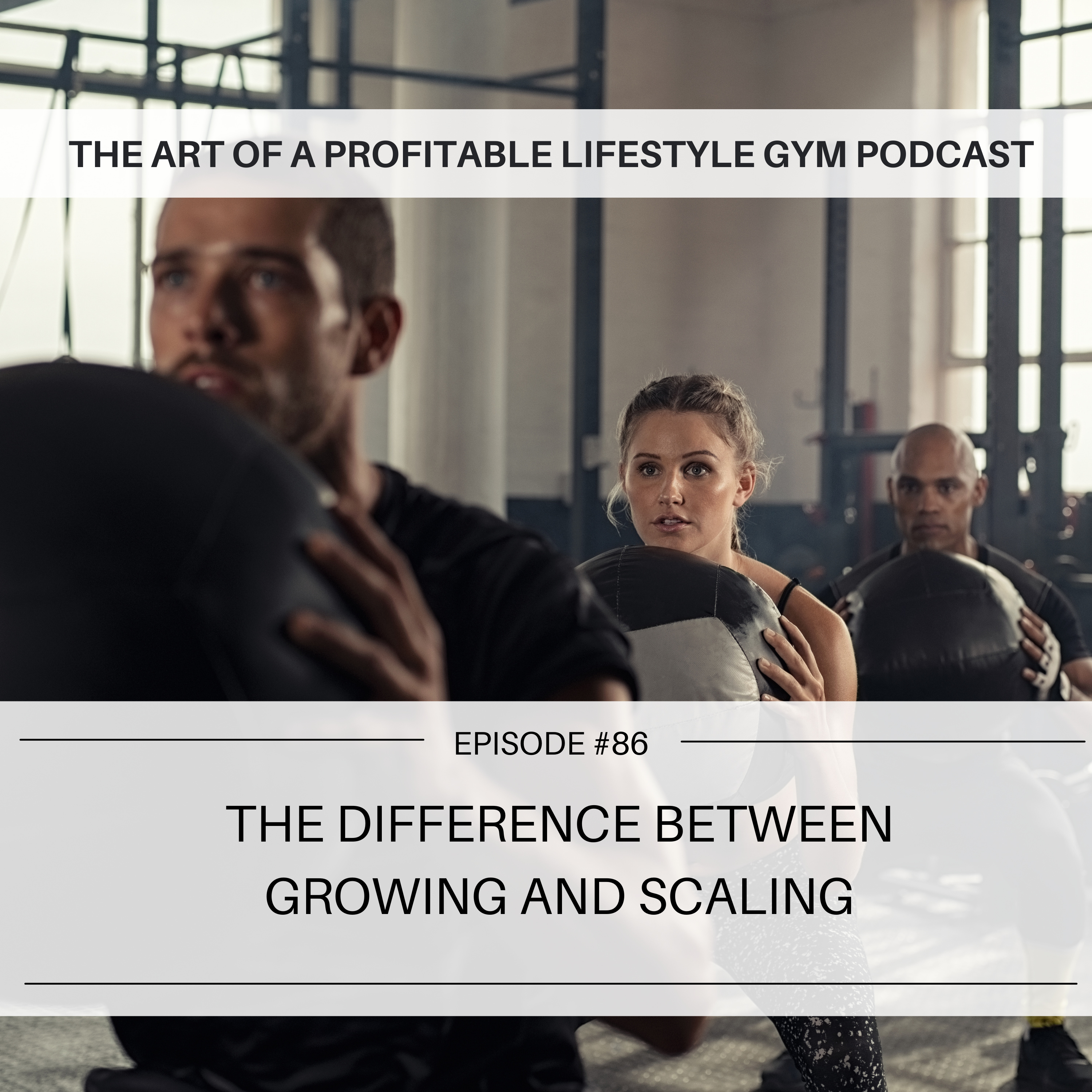 The Art of a Profitable Lifestyle Gym