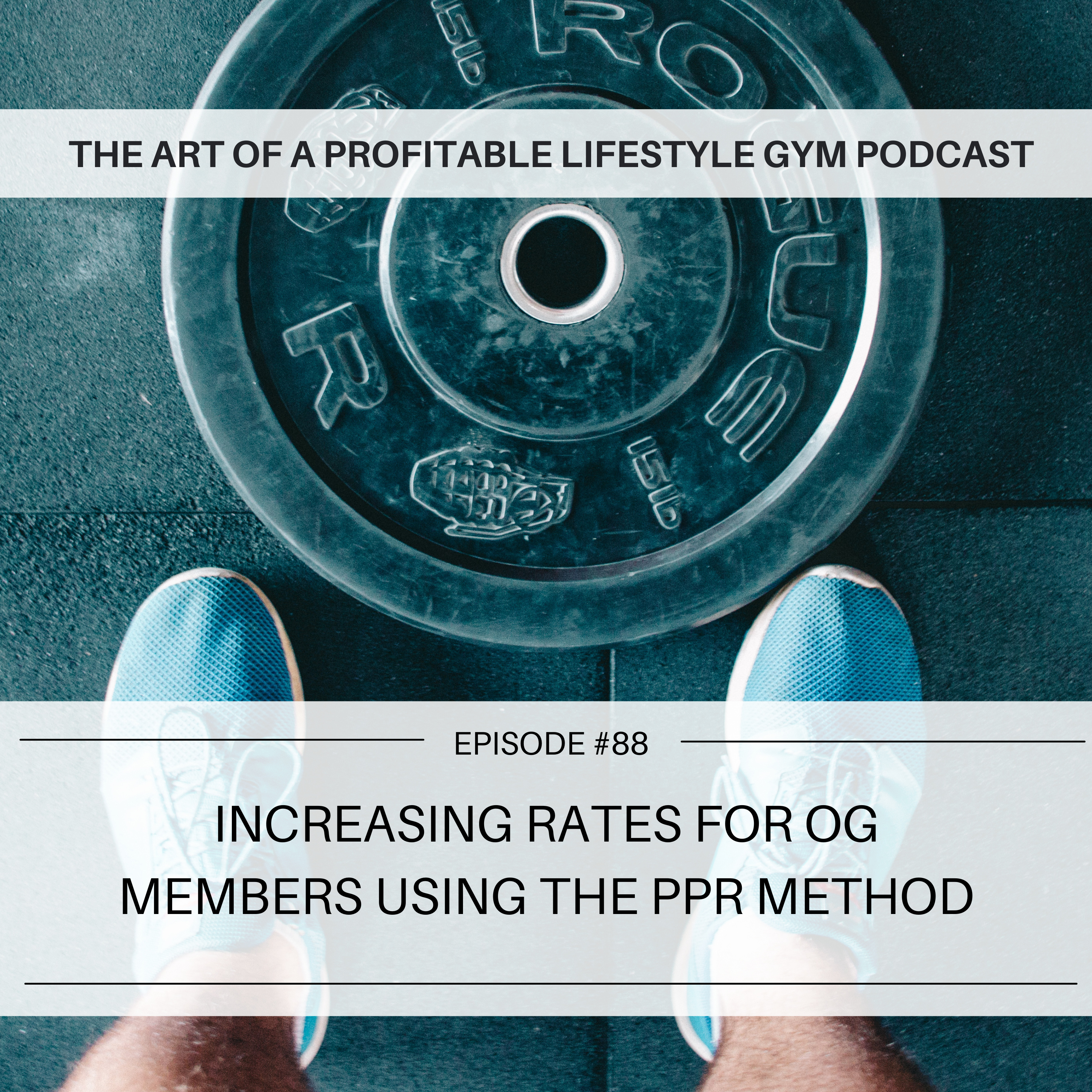 The Art of a Profitable Lifestyle Gym
