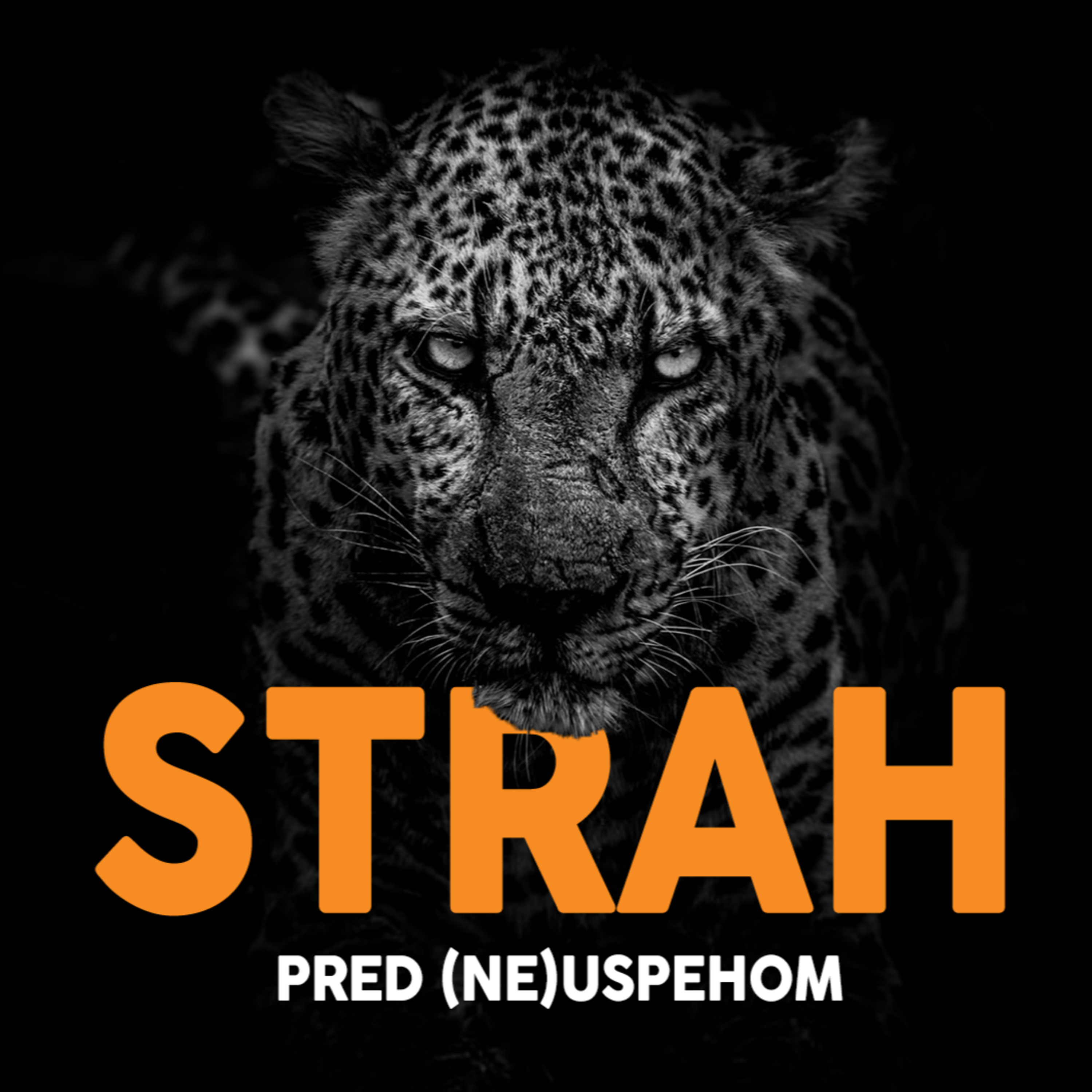 Boštjan Vidmar - Viralen.si