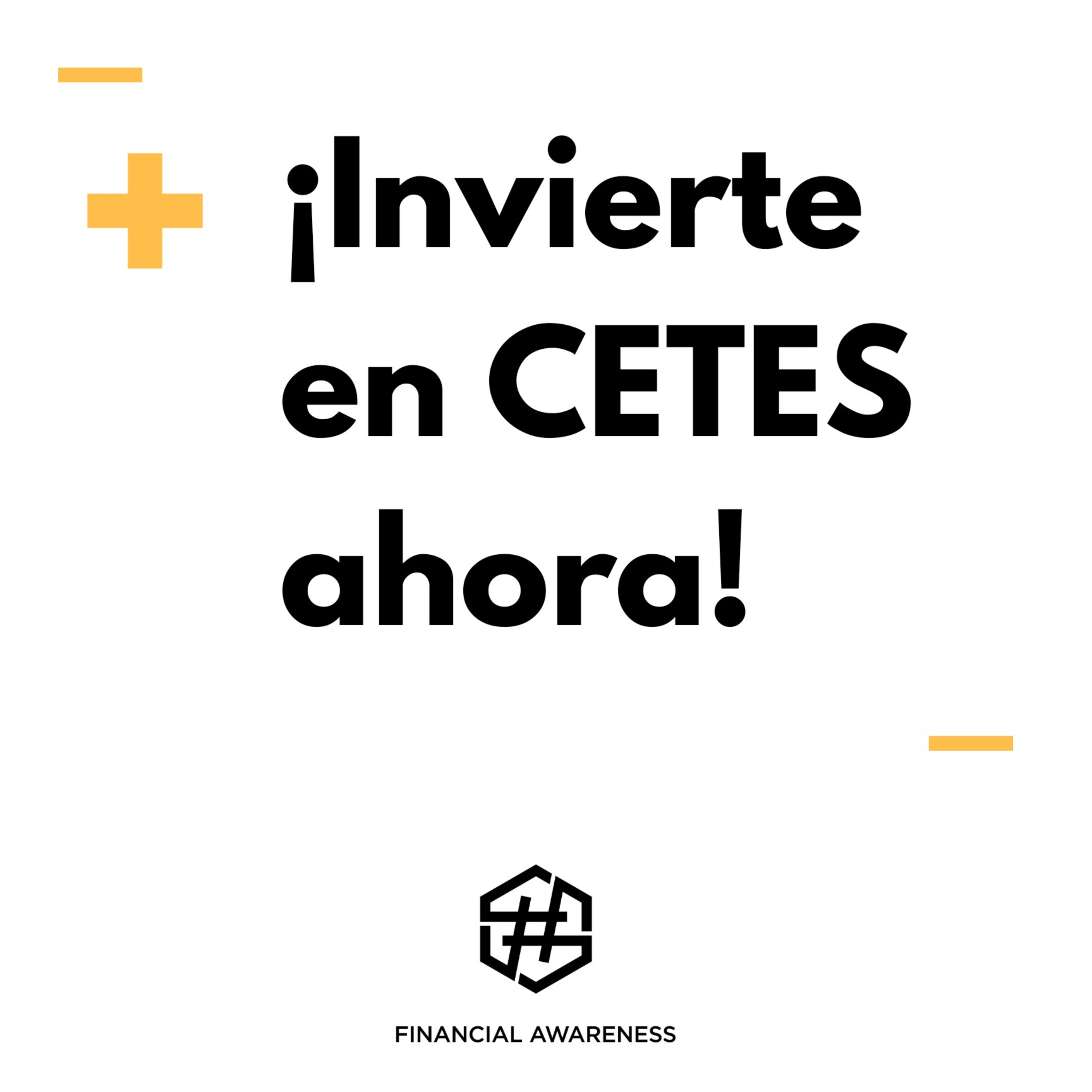 Seguros & Dinero
