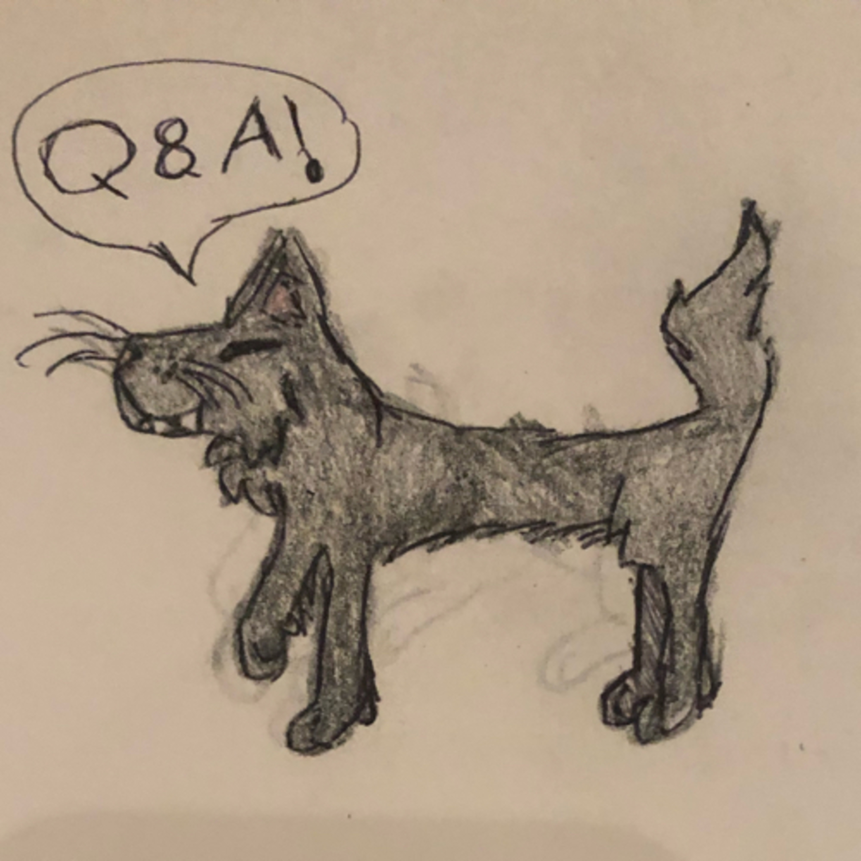 Q&A answers! episode artwork