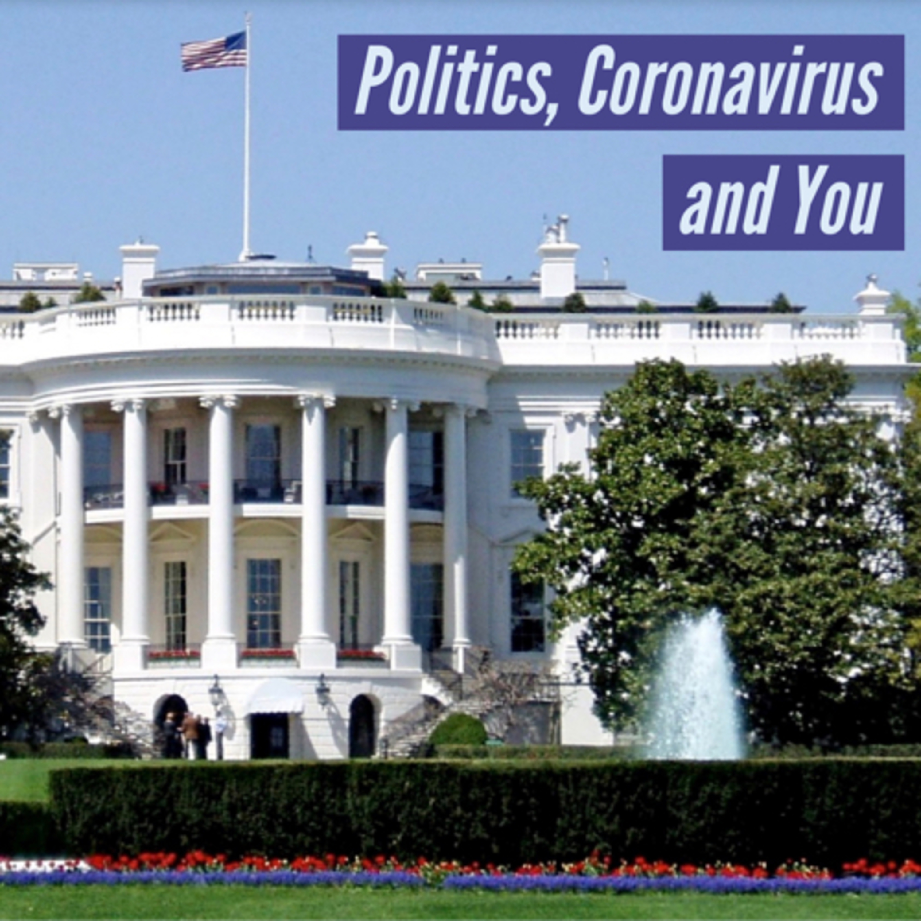 Politics, The Coronavirus and You episode artwork