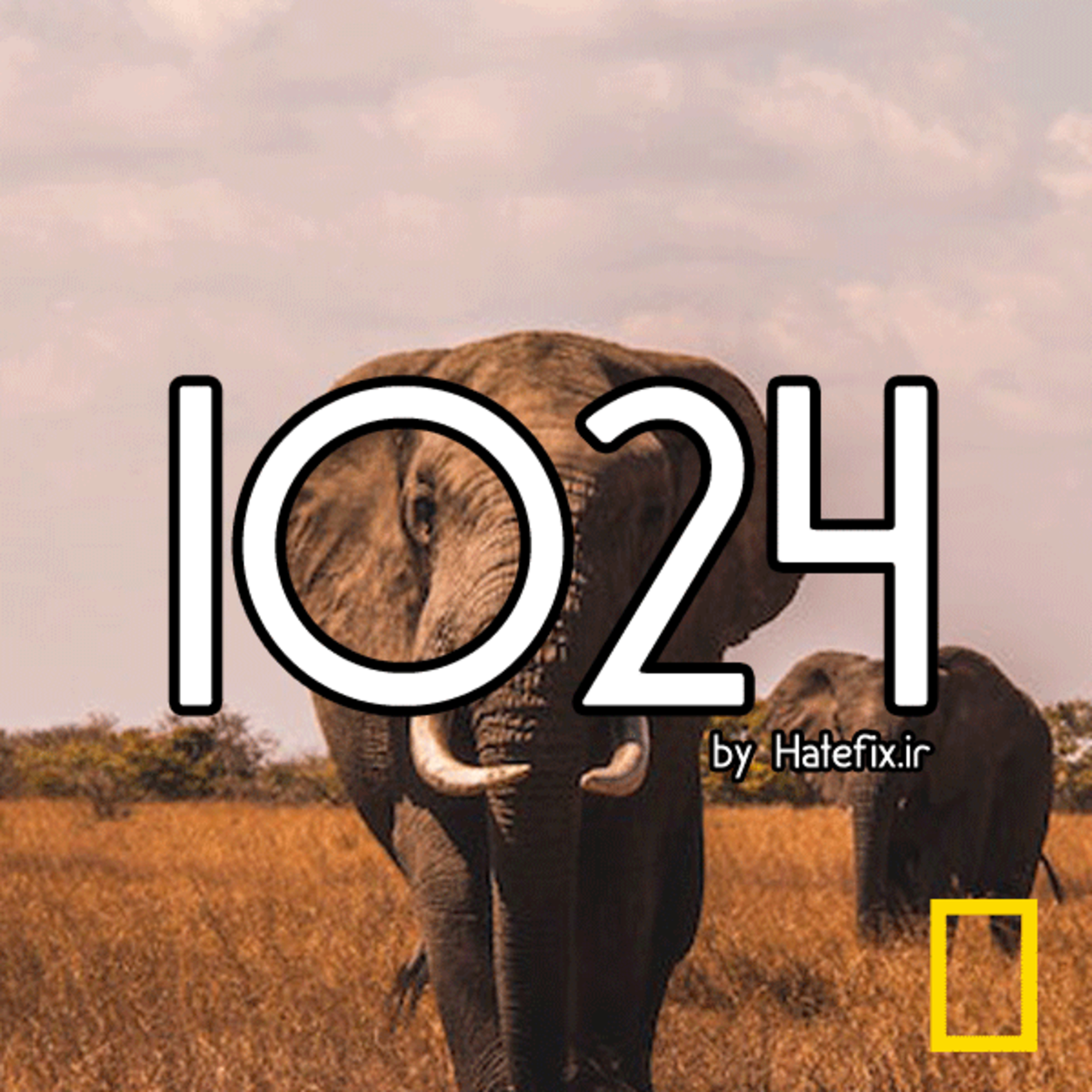 کاور 1024 - Episode 5