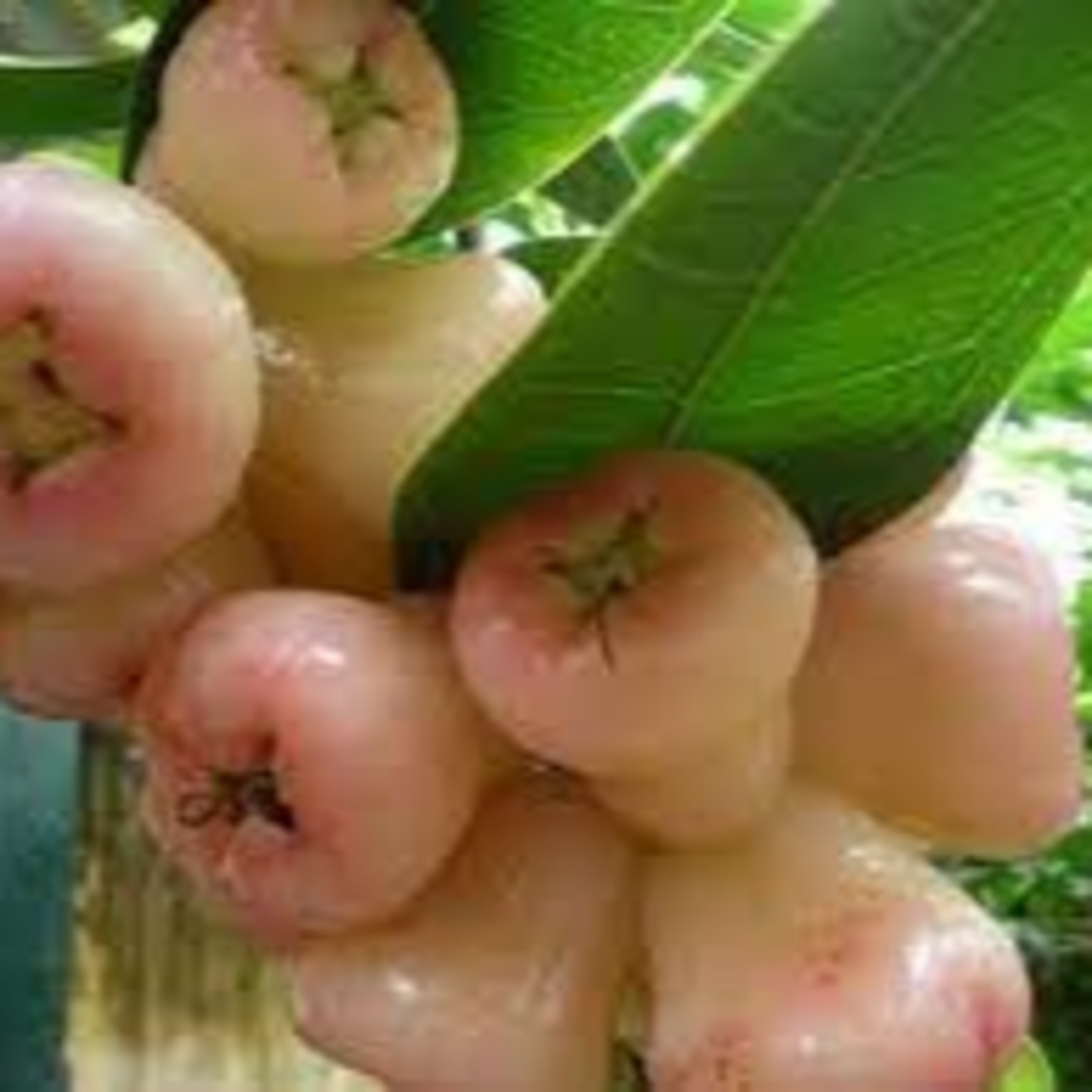 Đọc truyện cho bé