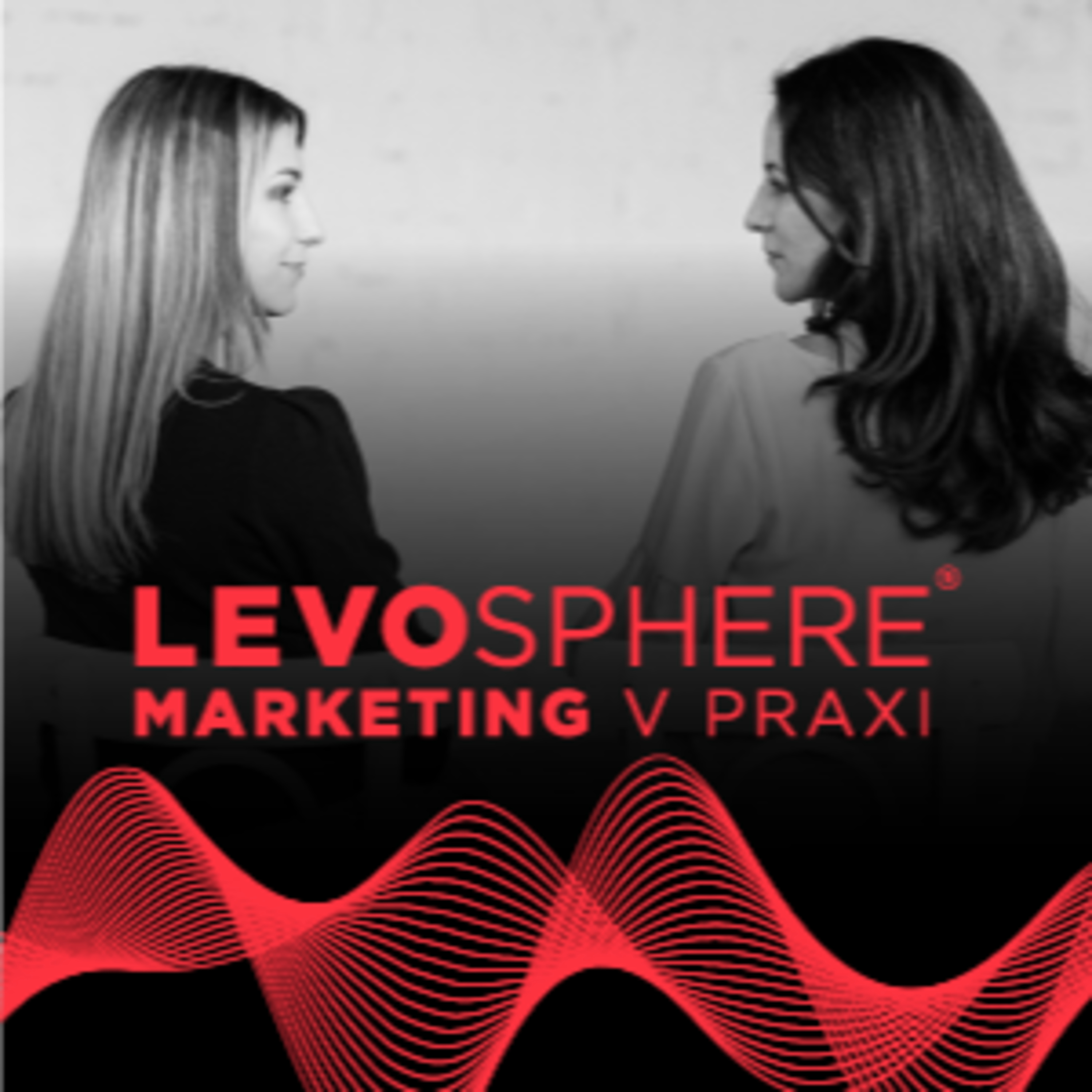 Marketing v praxi