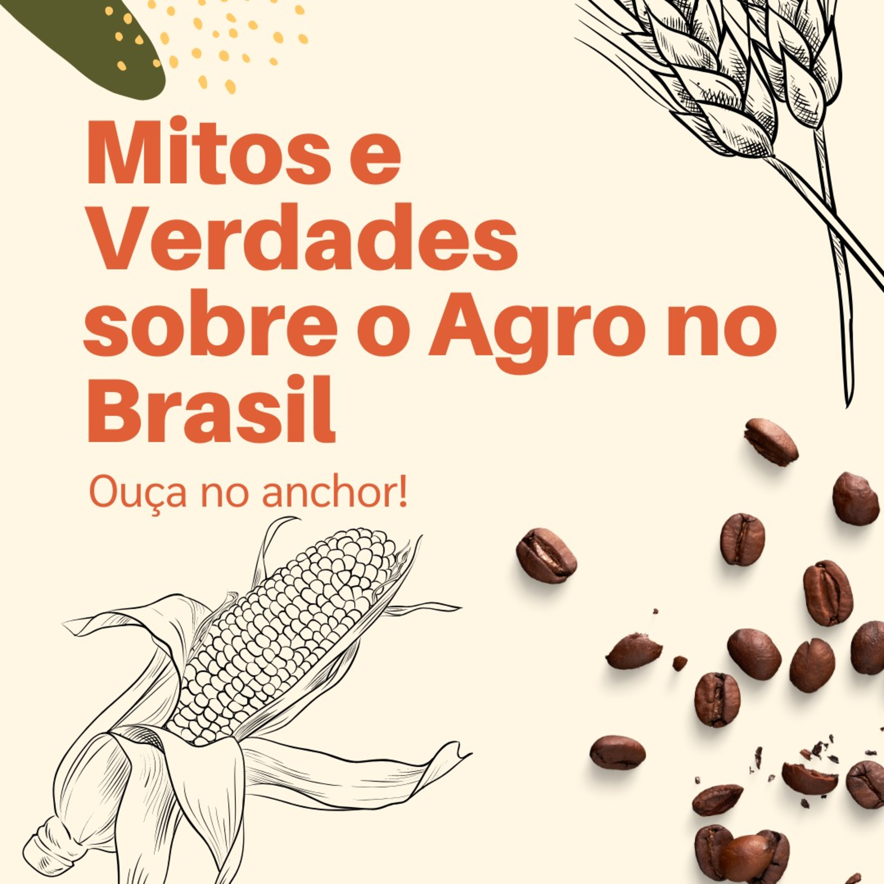 MITO ou VERDADE? AGRO no Brasil 
