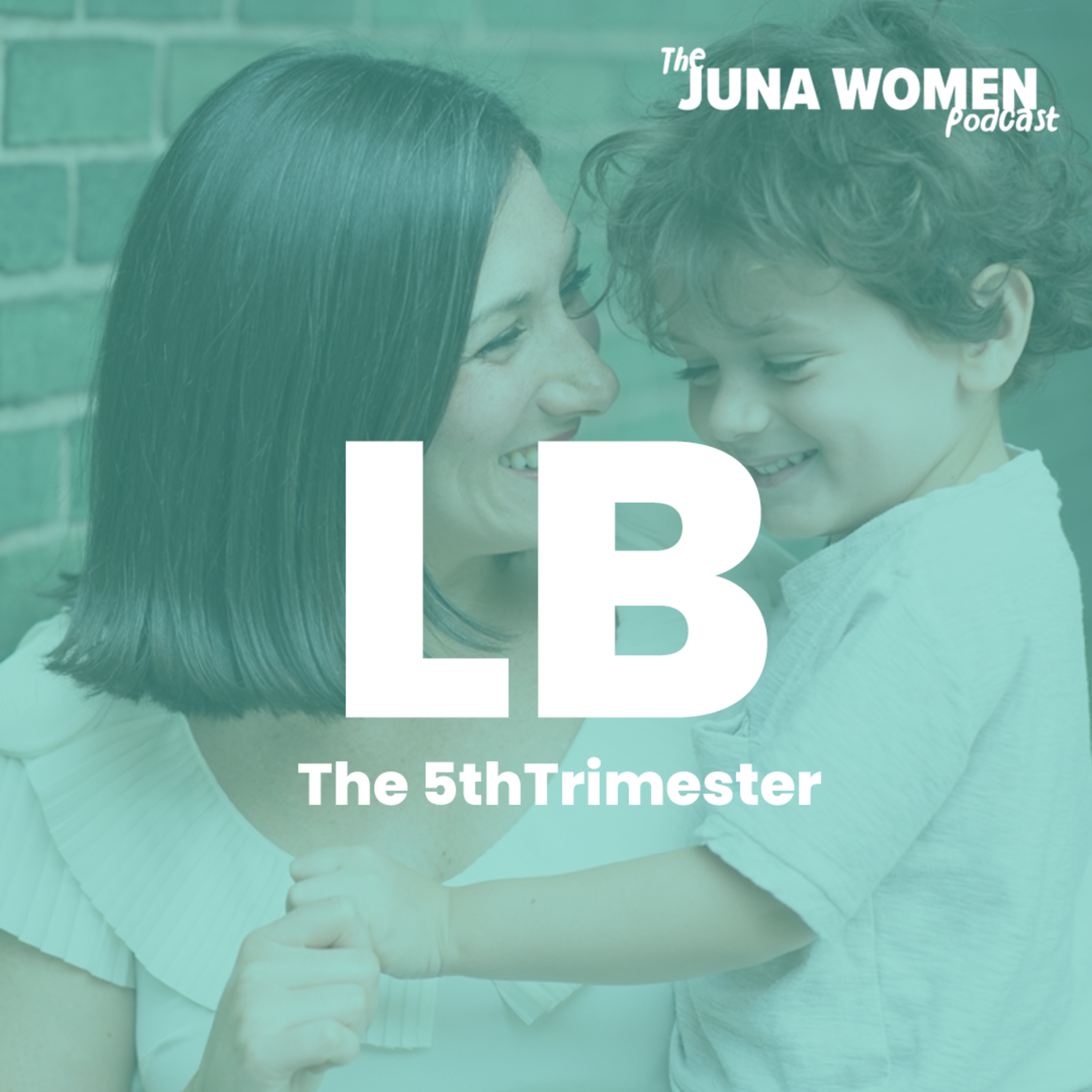 The 5th Trimester with Lauren Brody episode artwork